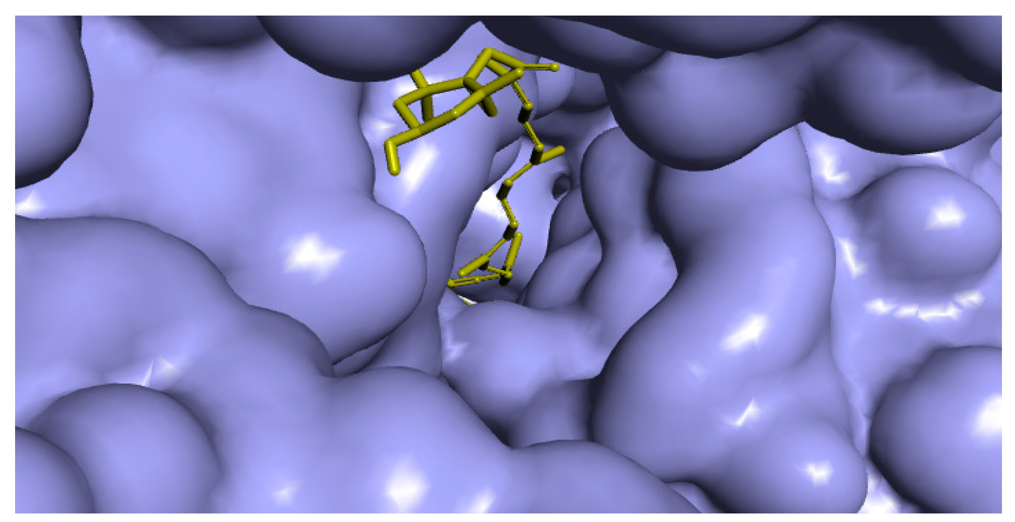 Marinedrugs 17 00641 g003 Marinedrugs 17 00641 g003