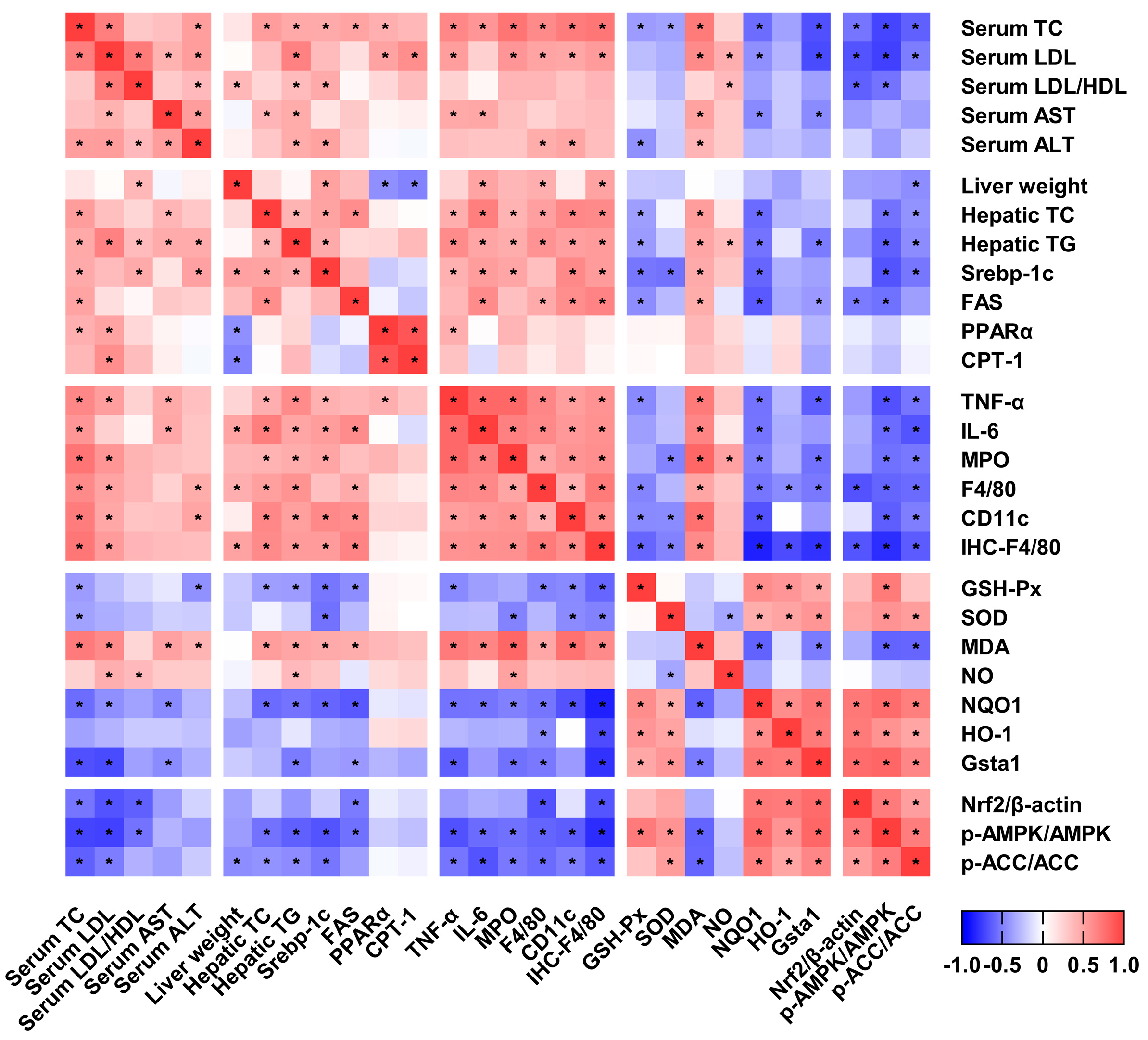 Marinedrugs 17 00645 g007 Marinedrugs 17 00645 g007