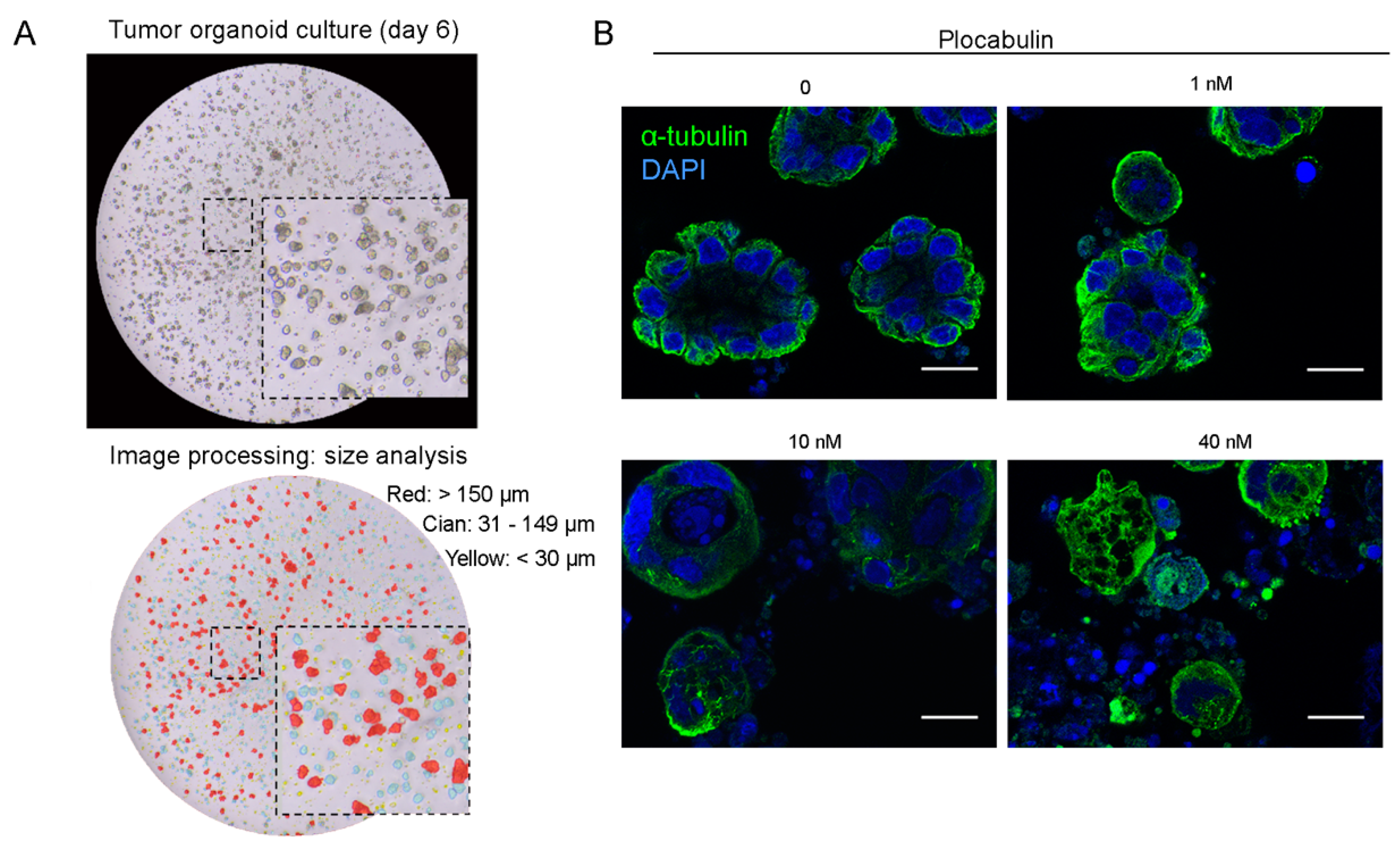 Marinedrugs 17 00648 g002