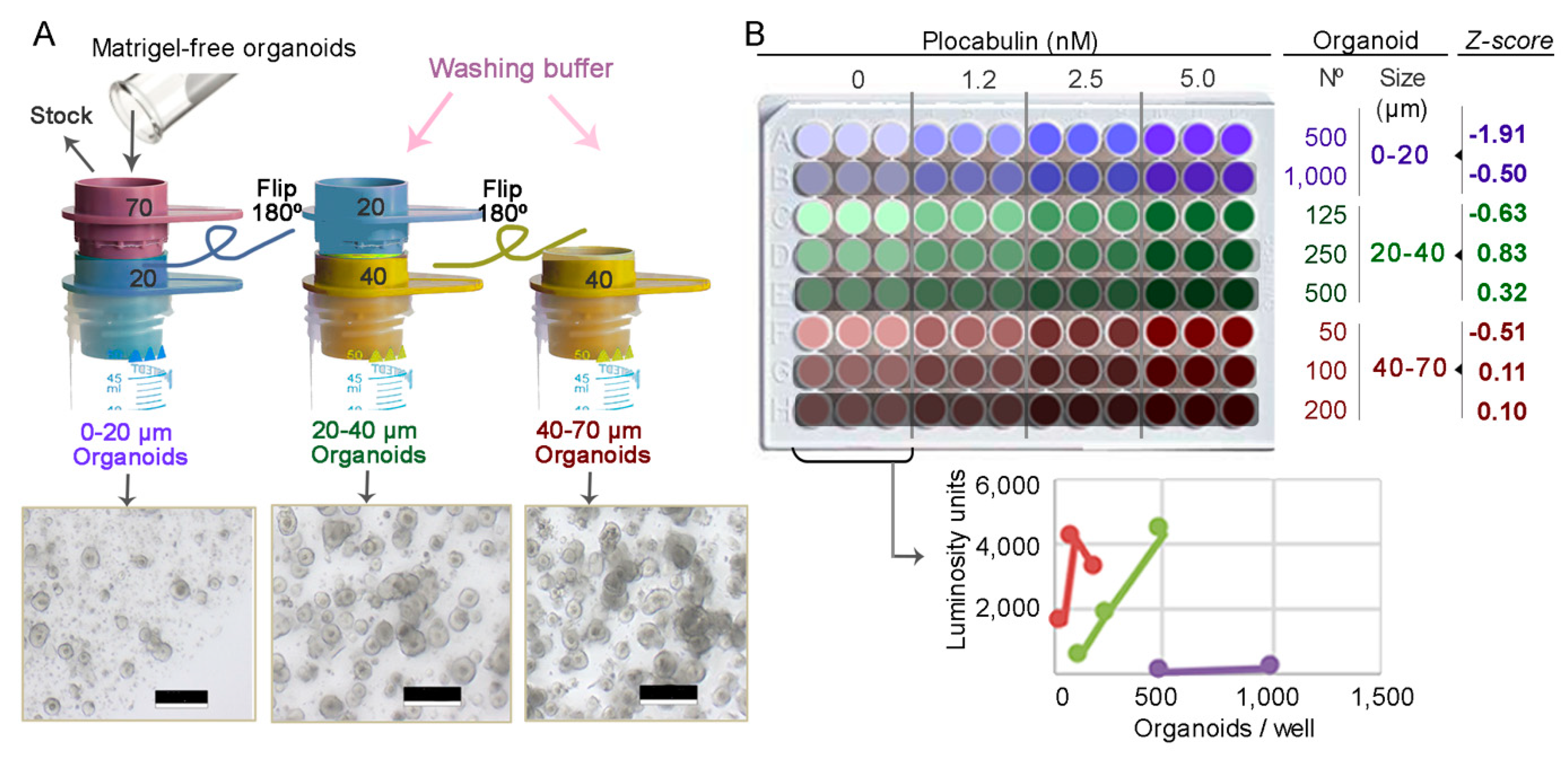 Marinedrugs 17 00648 g003