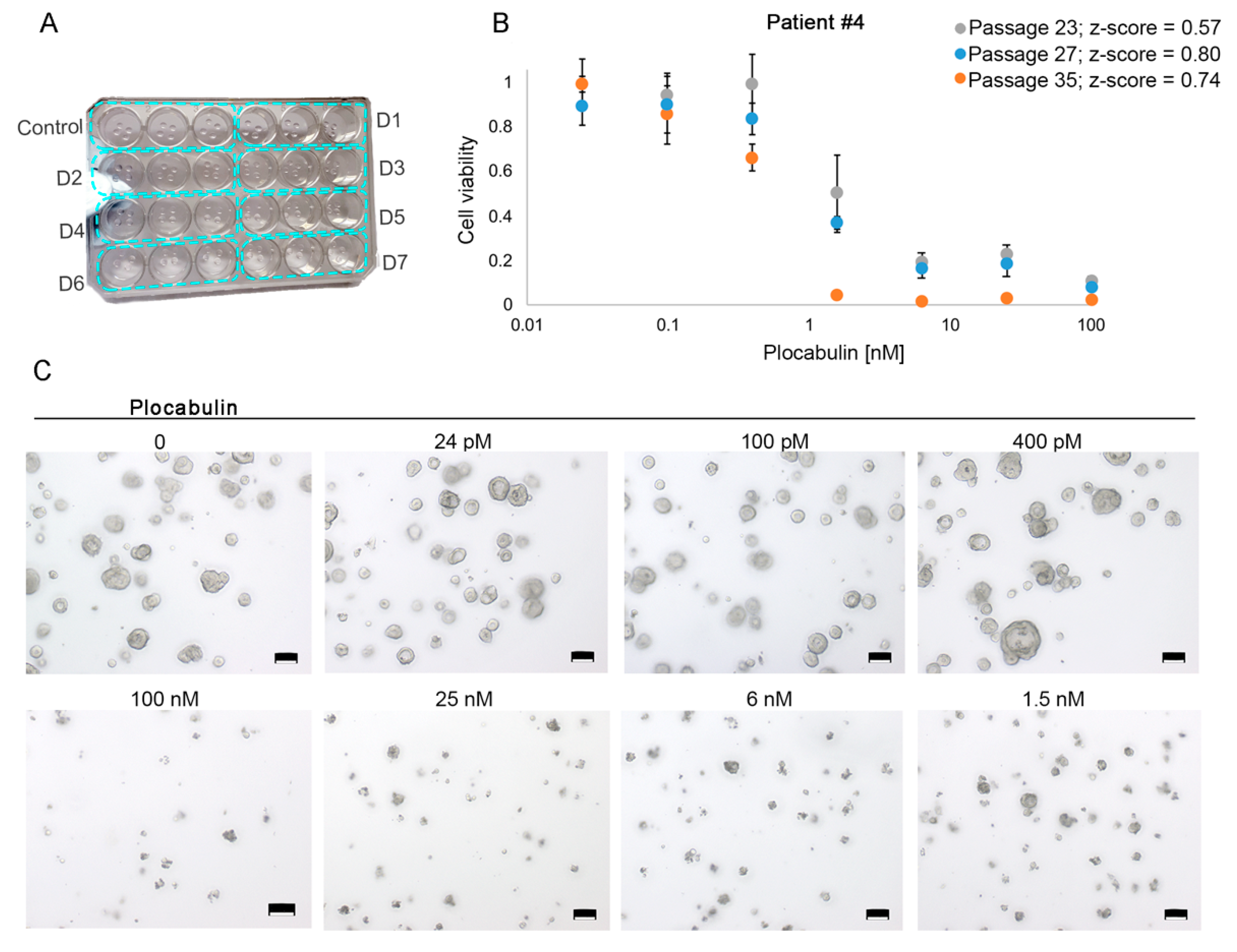 Marinedrugs 17 00648 g005