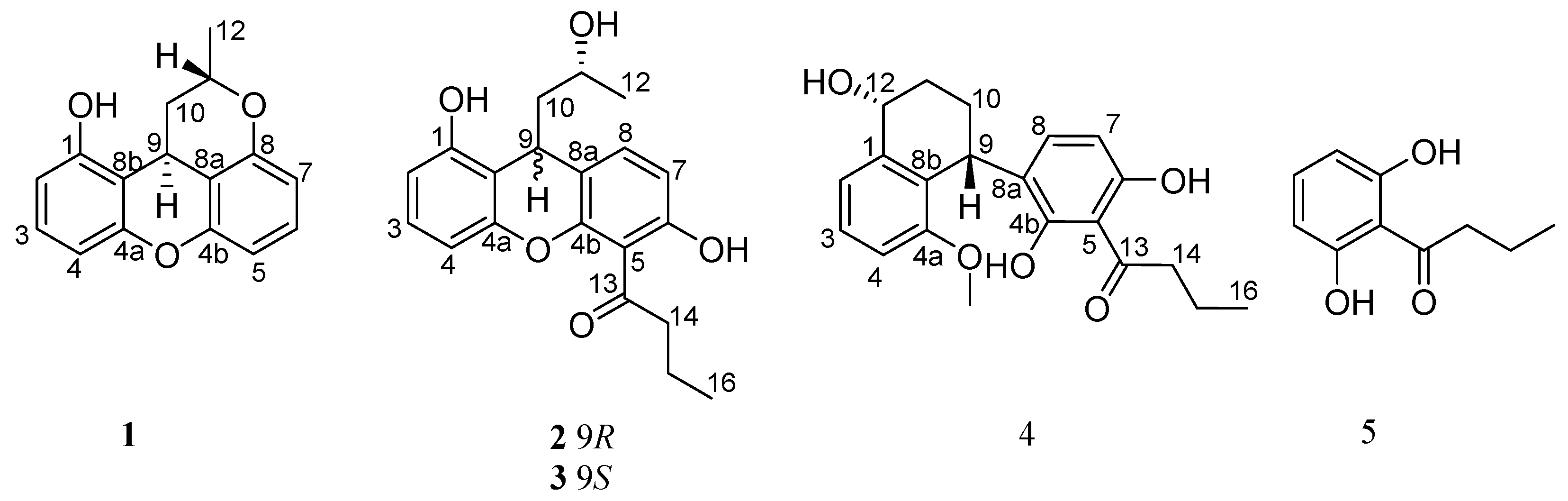 Marinedrugs 17 00649 g001