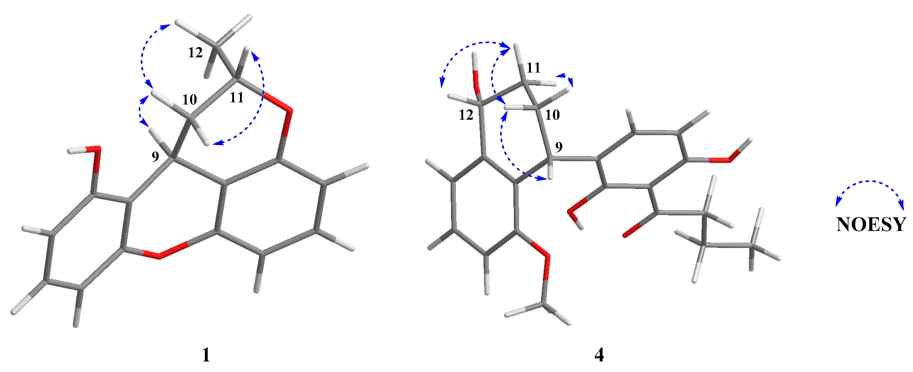 Marinedrugs 17 00649 g003