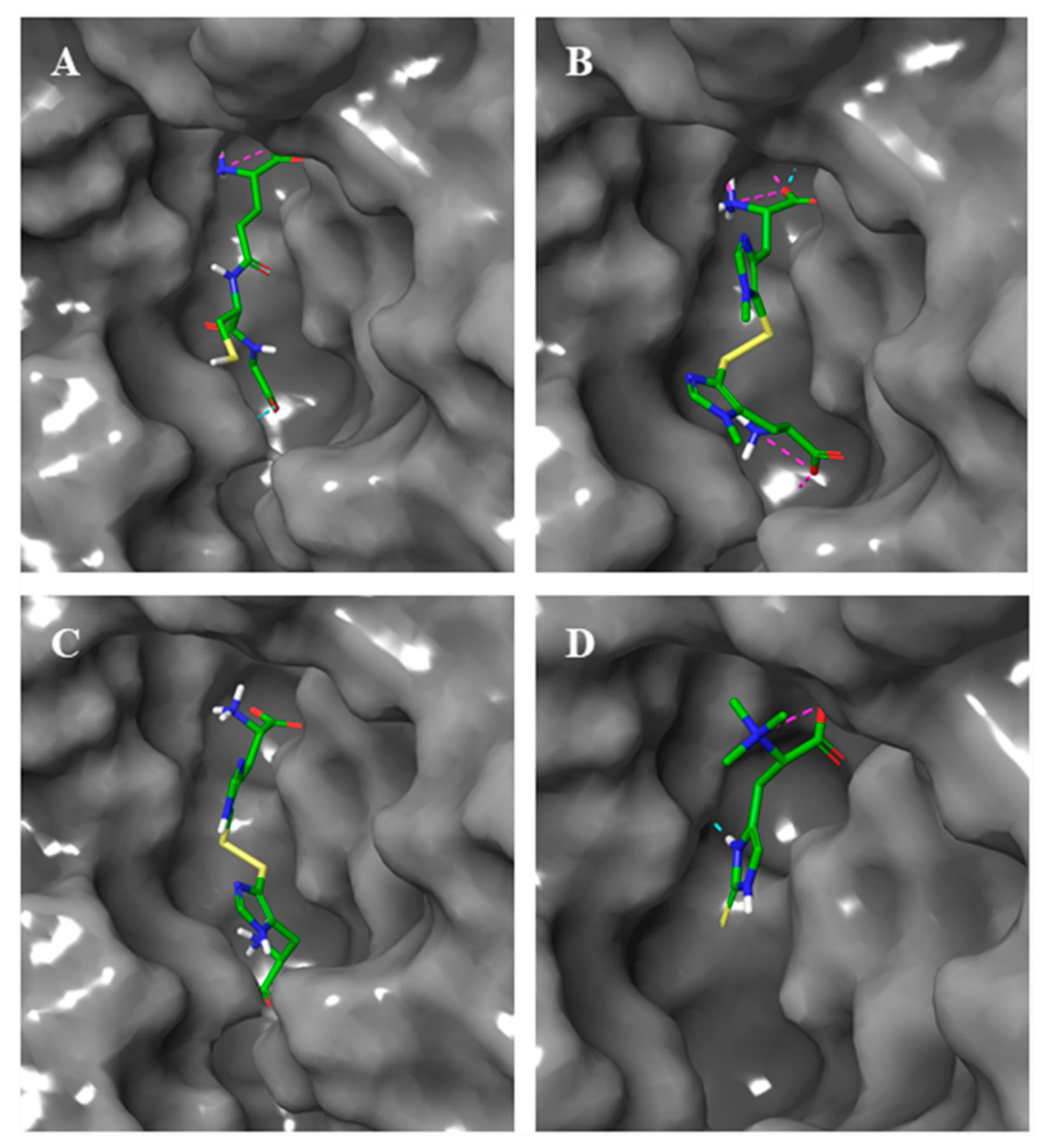 Marinedrugs 17 00650 g005