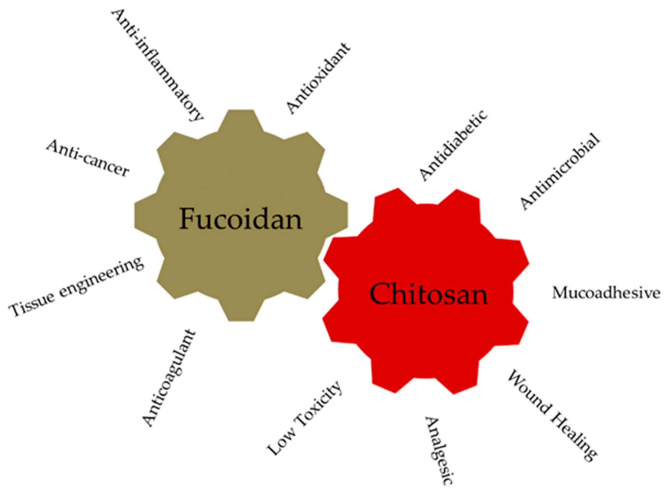 Marinedrugs 17 00654 g004 Marinedrugs 17 00654 g004