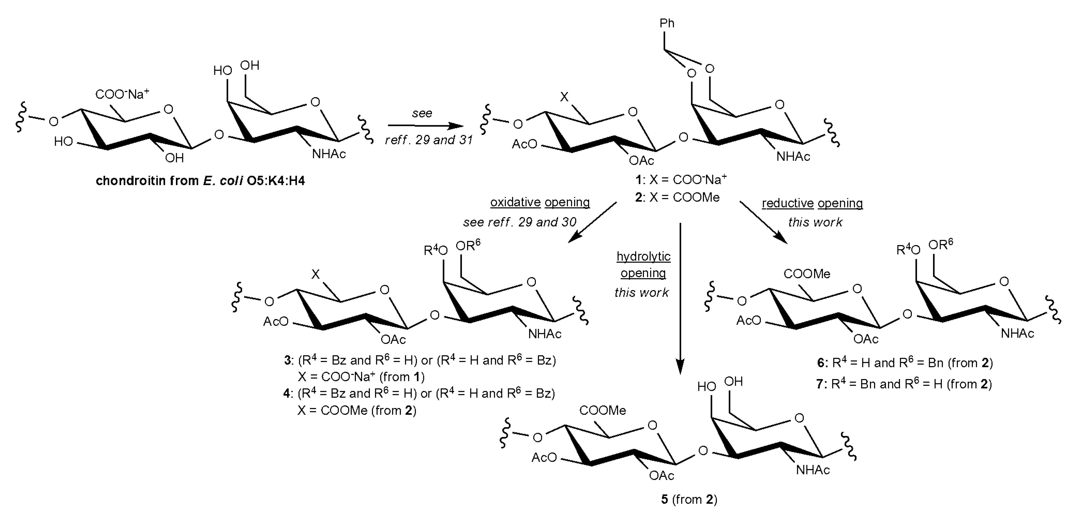 Marinedrugs 17 00655 sch001 Marinedrugs 17 00655 sch001