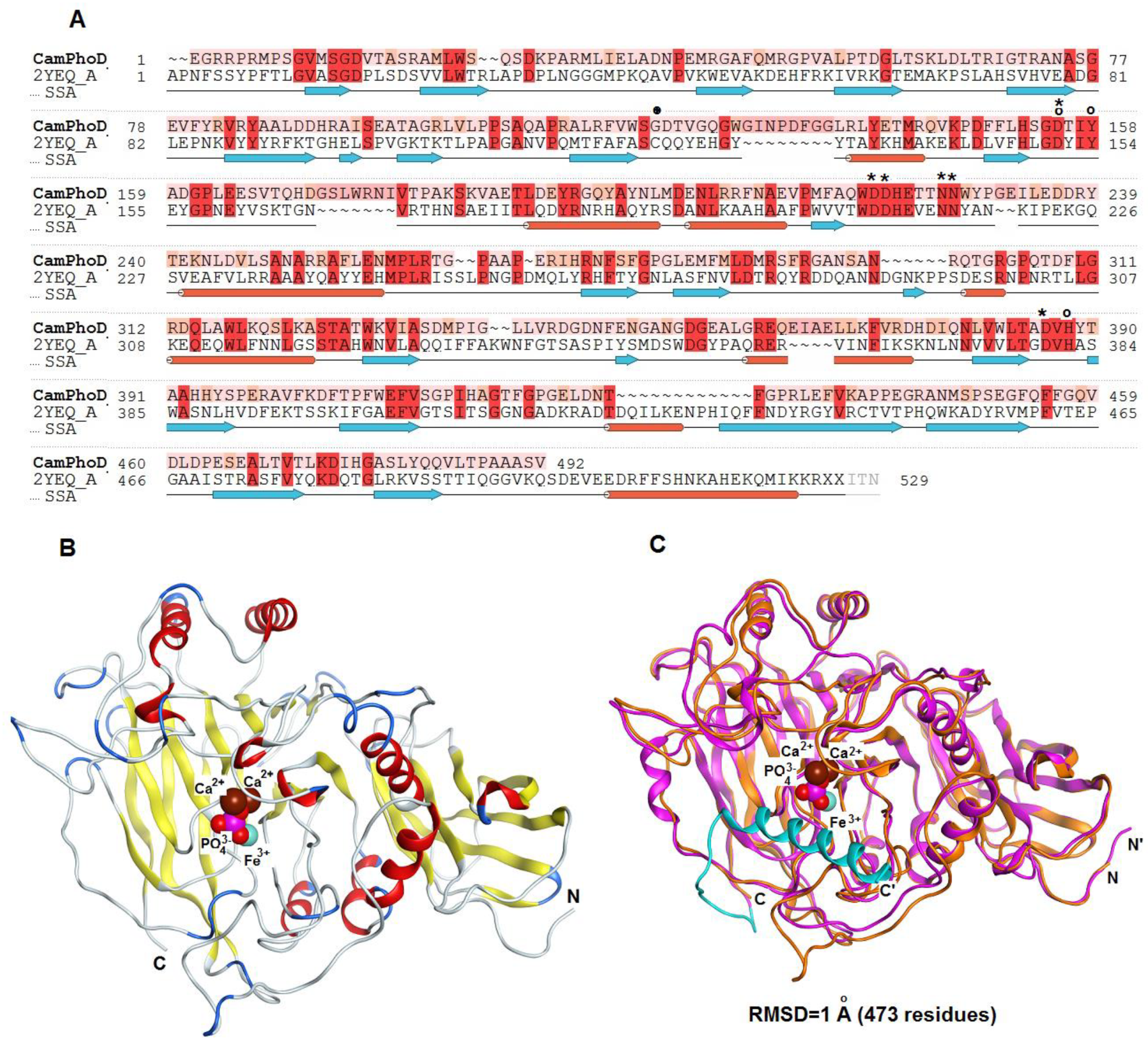 Marinedrugs 17 00657 g008 Marinedrugs 17 00657 g008
