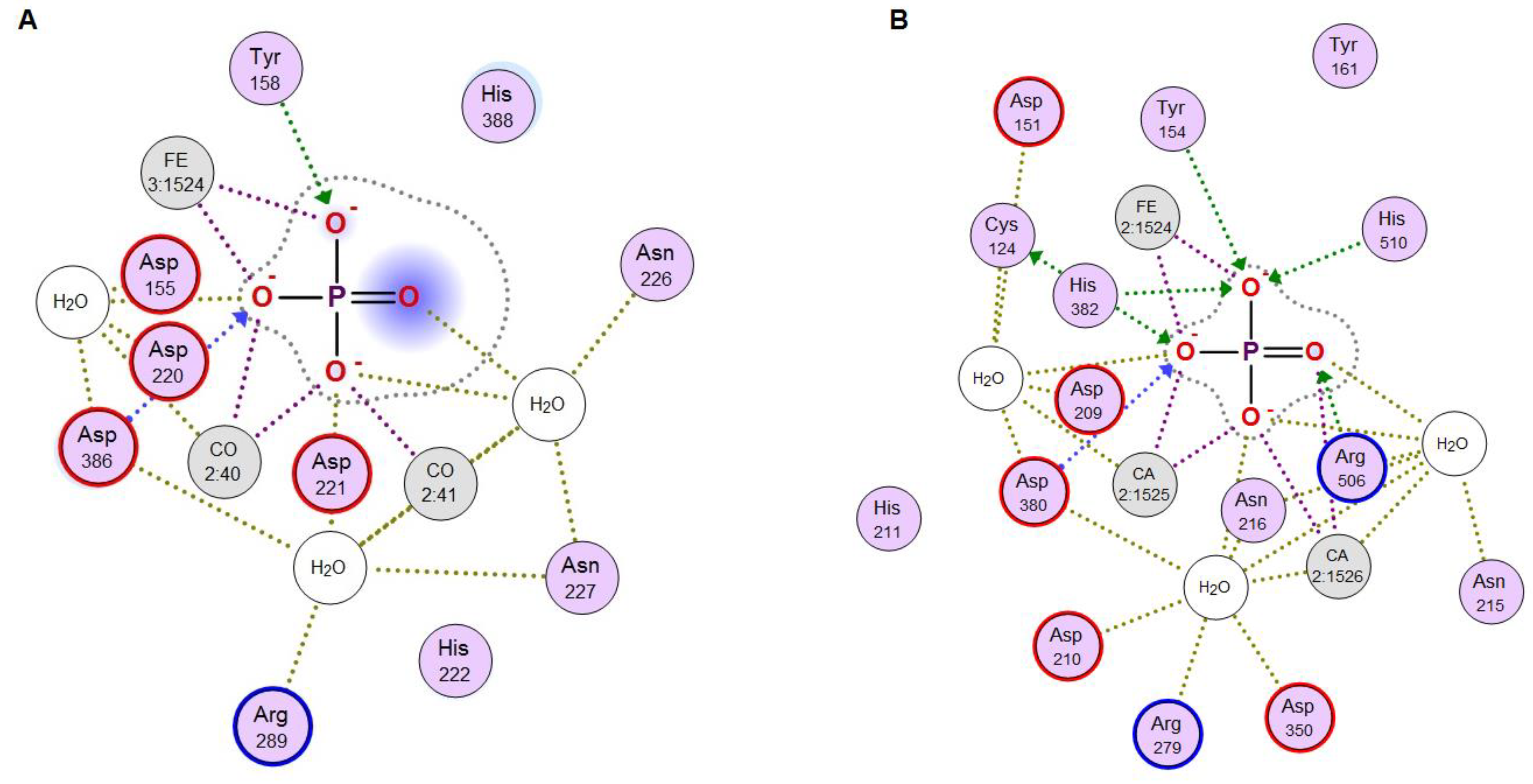 Marinedrugs 17 00657 g009 Marinedrugs 17 00657 g009