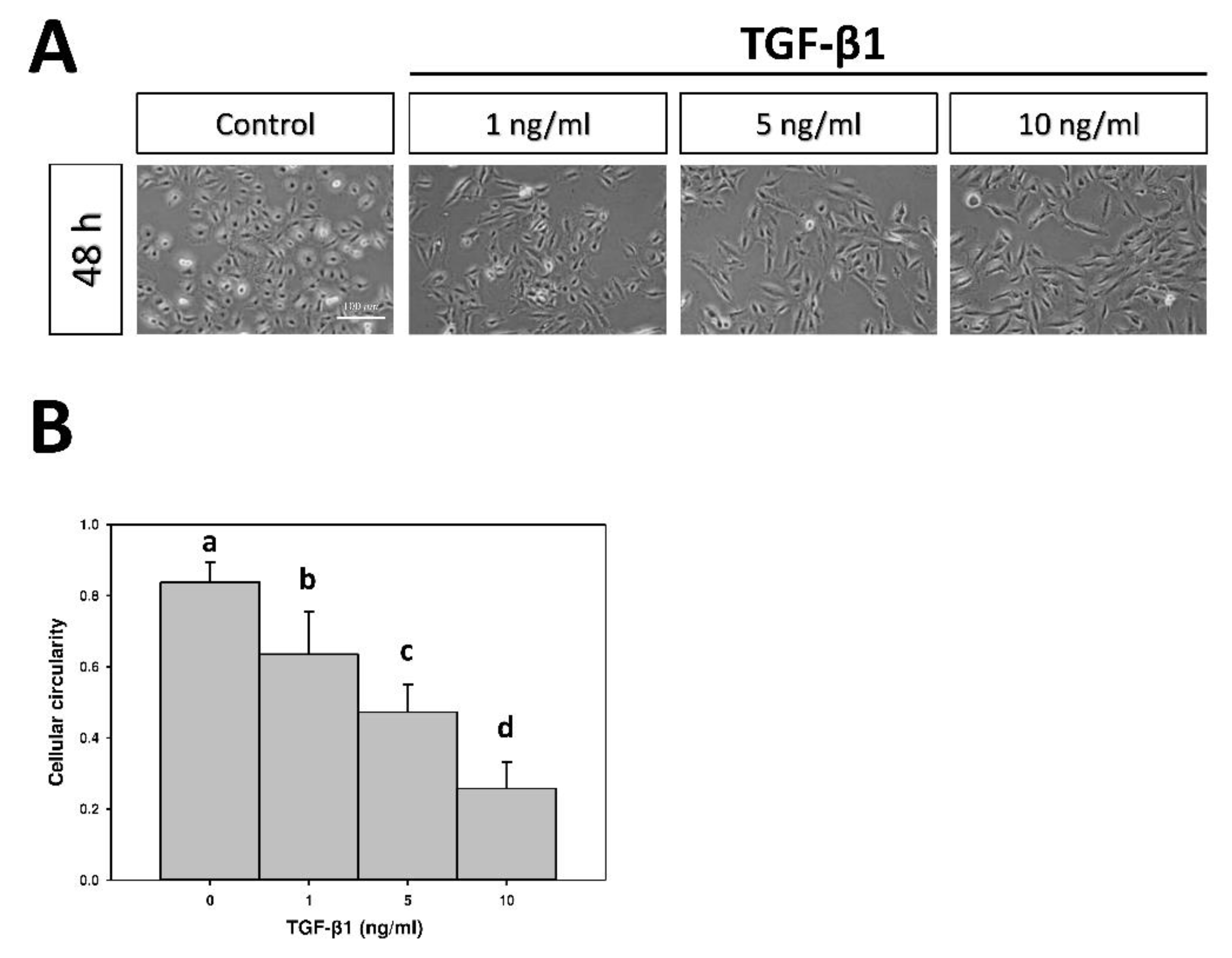 Marinedrugs 17 00659 g001 Marinedrugs 17 00659 g001