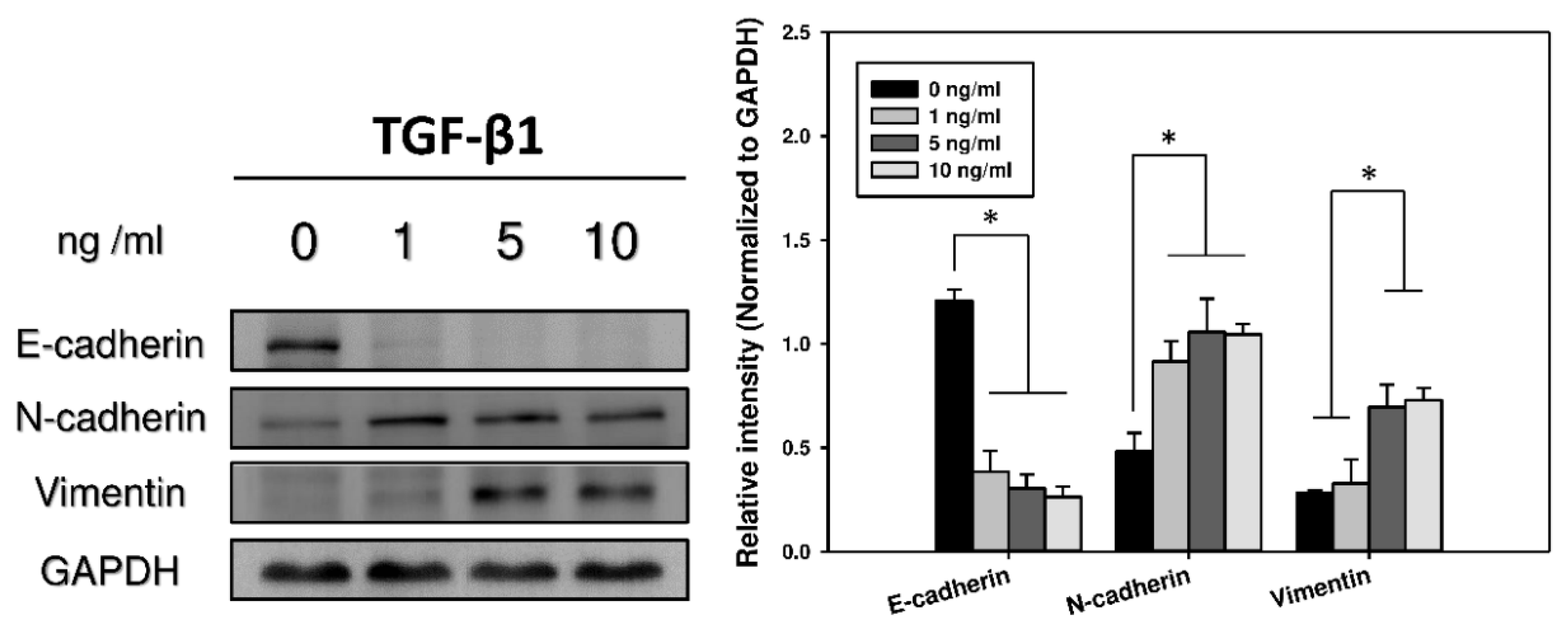 Marinedrugs 17 00659 g003 Marinedrugs 17 00659 g003