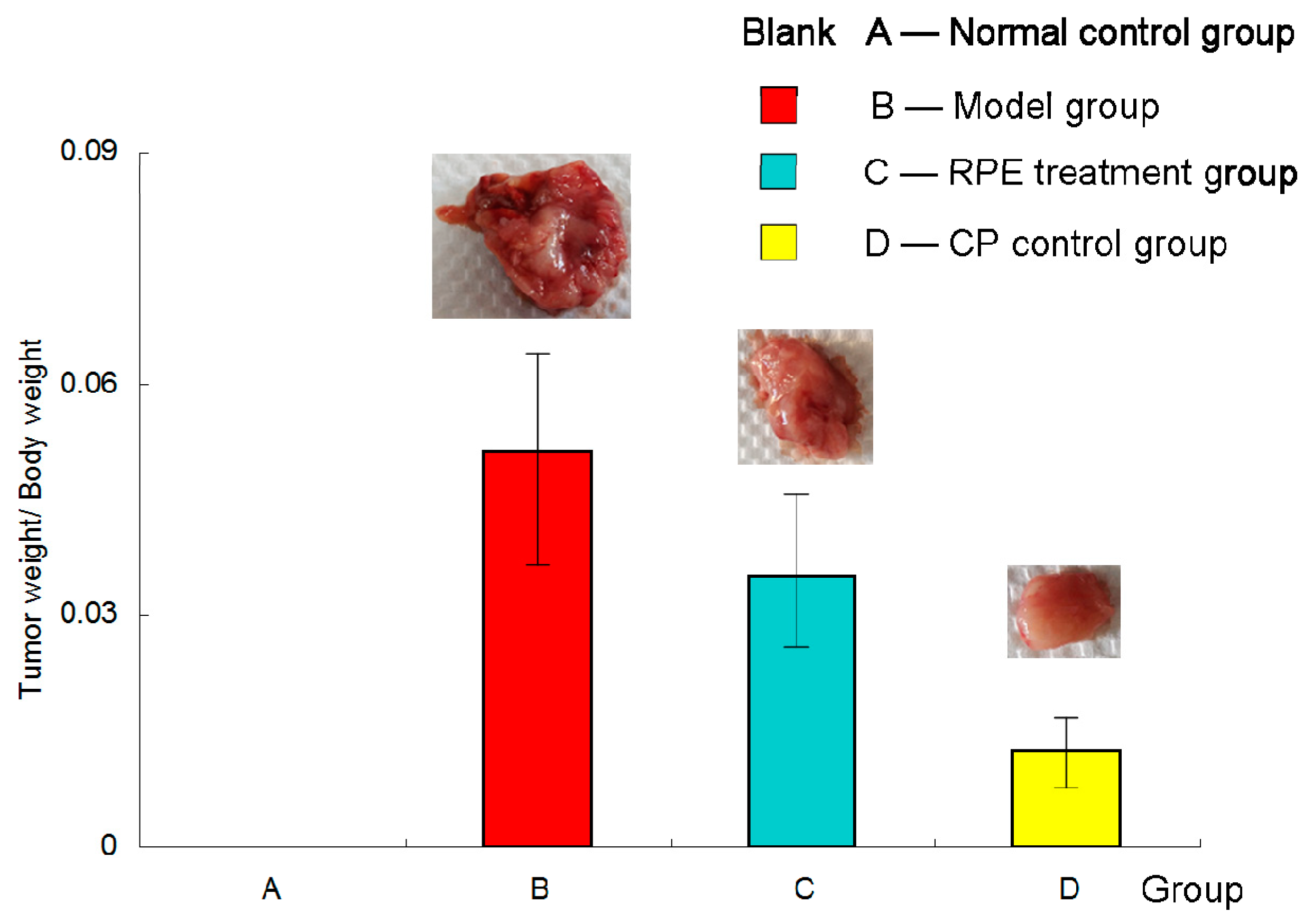 Marinedrugs 17 00665 g001 Marinedrugs 17 00665 g001