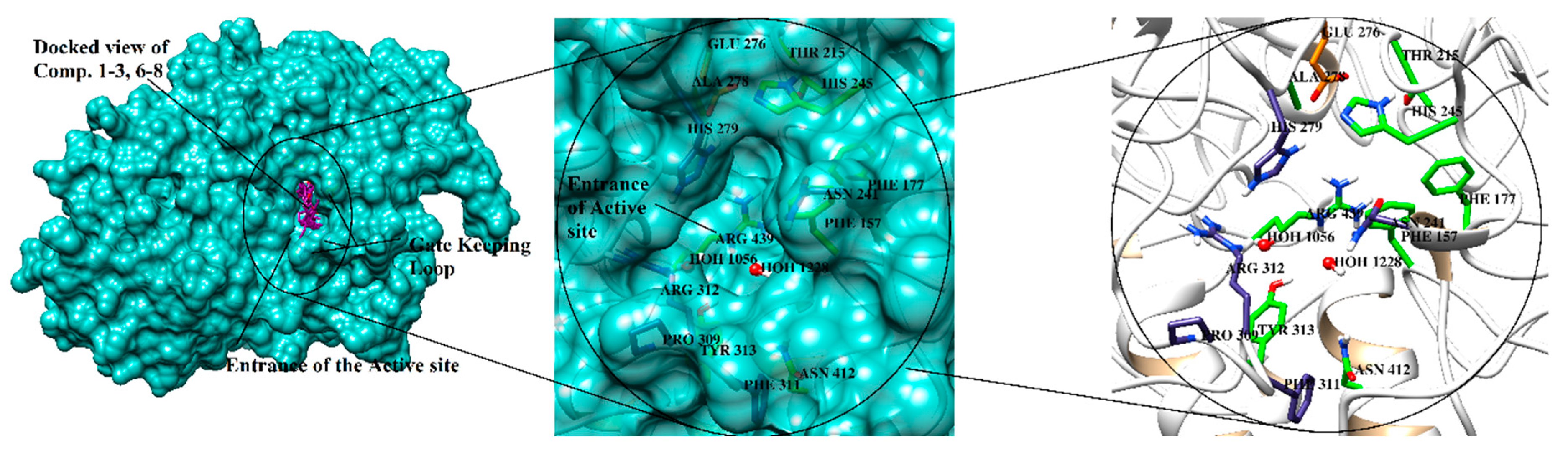 Marinedrugs 17 00666 g003 Marinedrugs 17 00666 g003