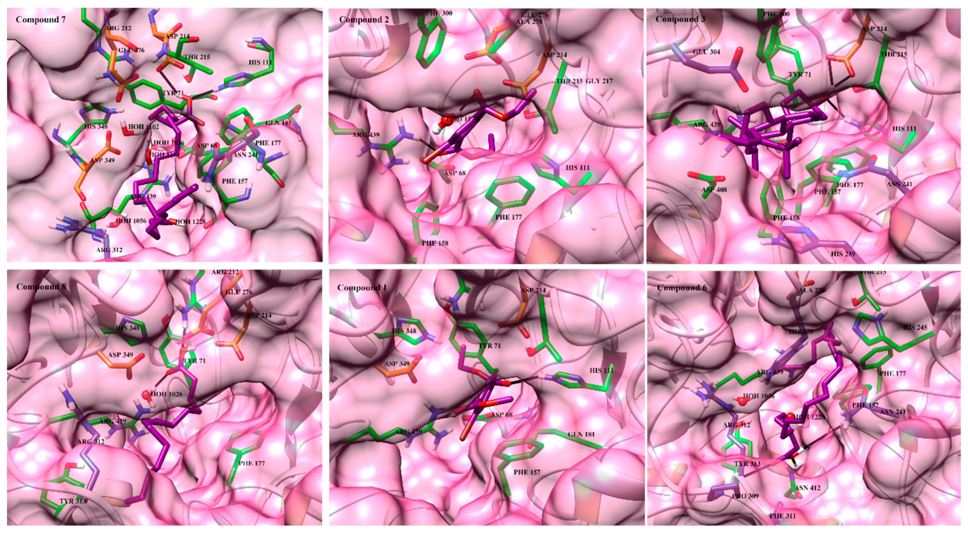 Marinedrugs 17 00666 g004 Marinedrugs 17 00666 g004