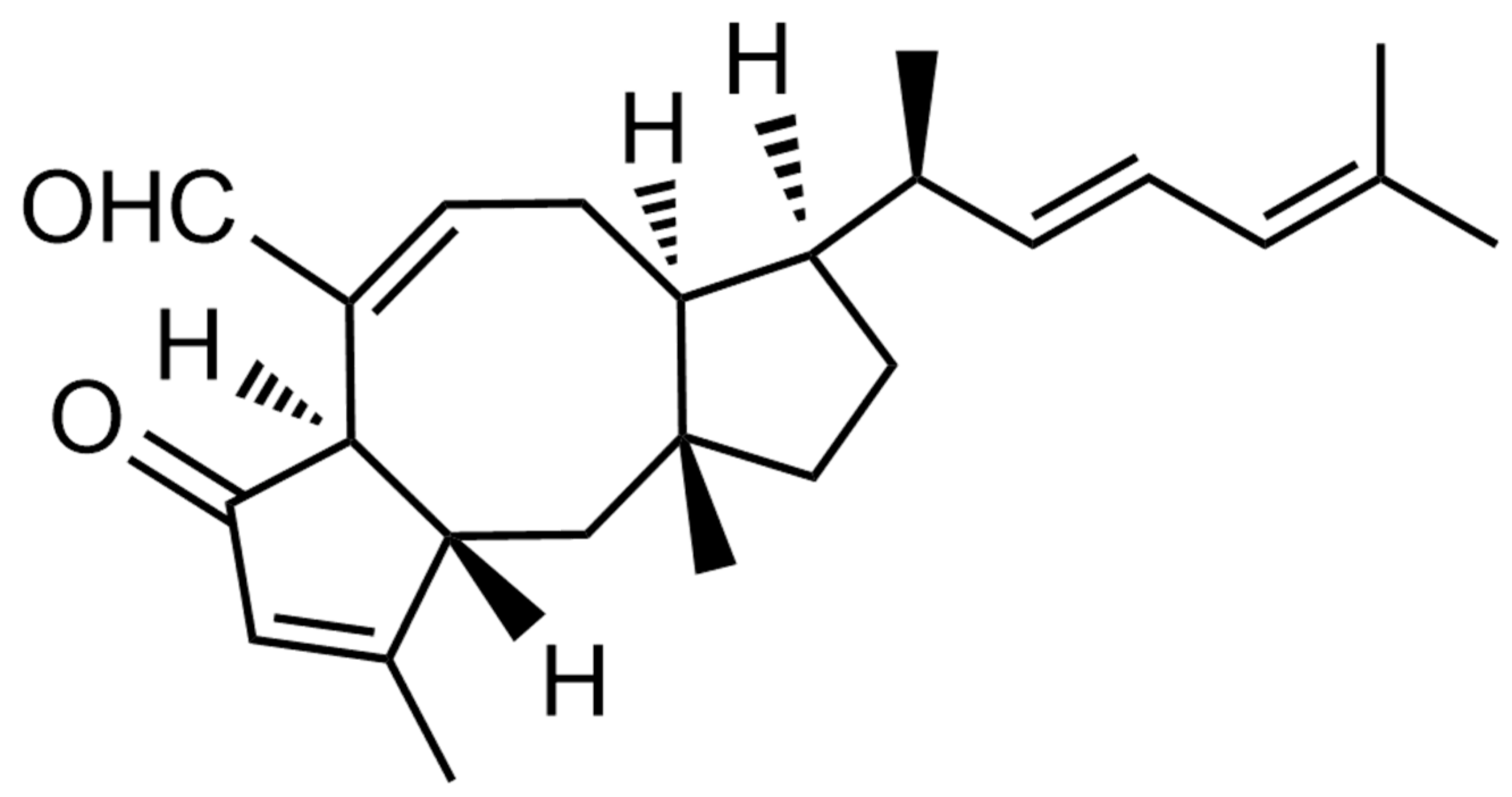 Marinedrugs 17 00667 g001 Marinedrugs 17 00667 g001