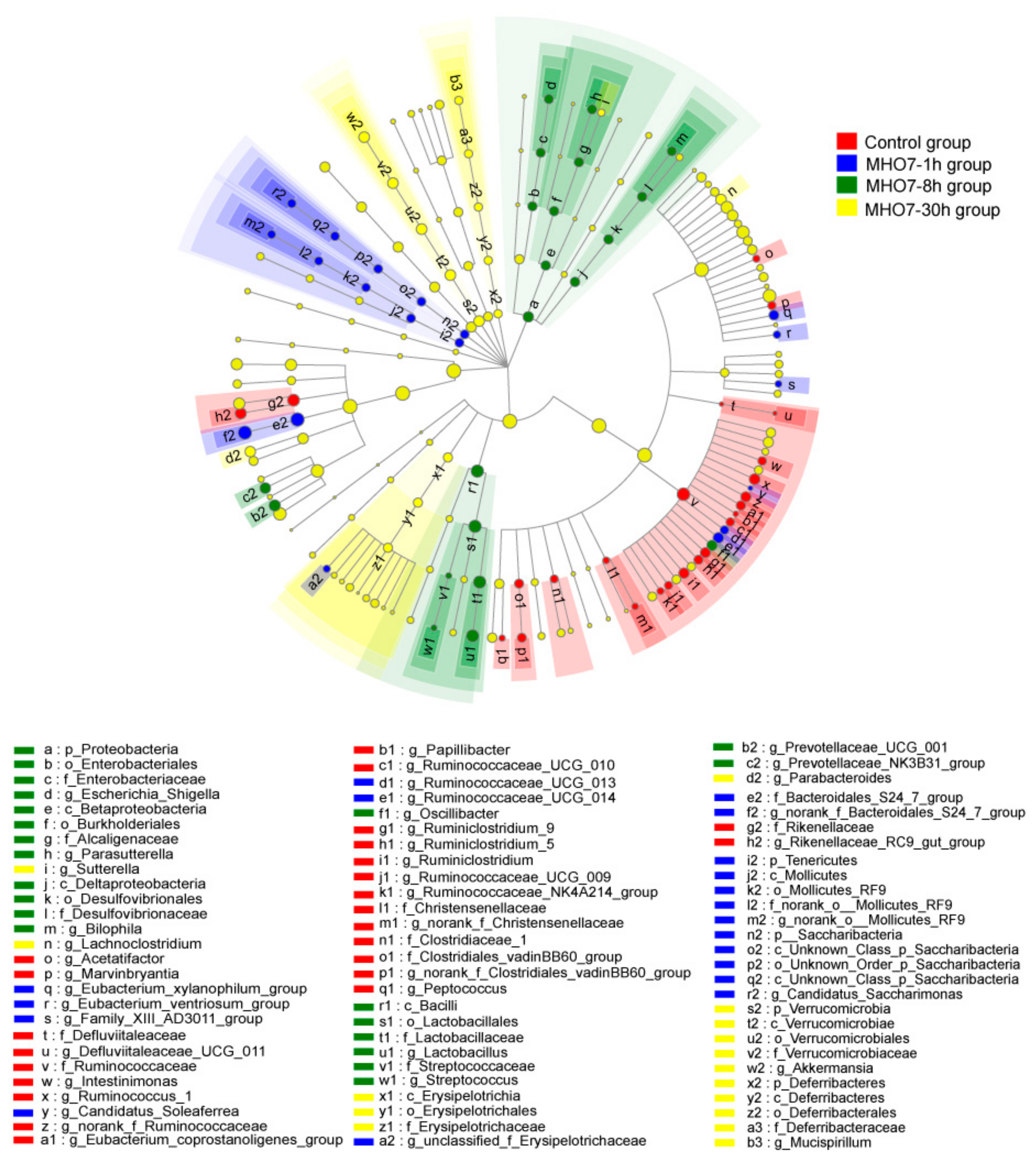 Marinedrugs 17 00667 g005 Marinedrugs 17 00667 g005