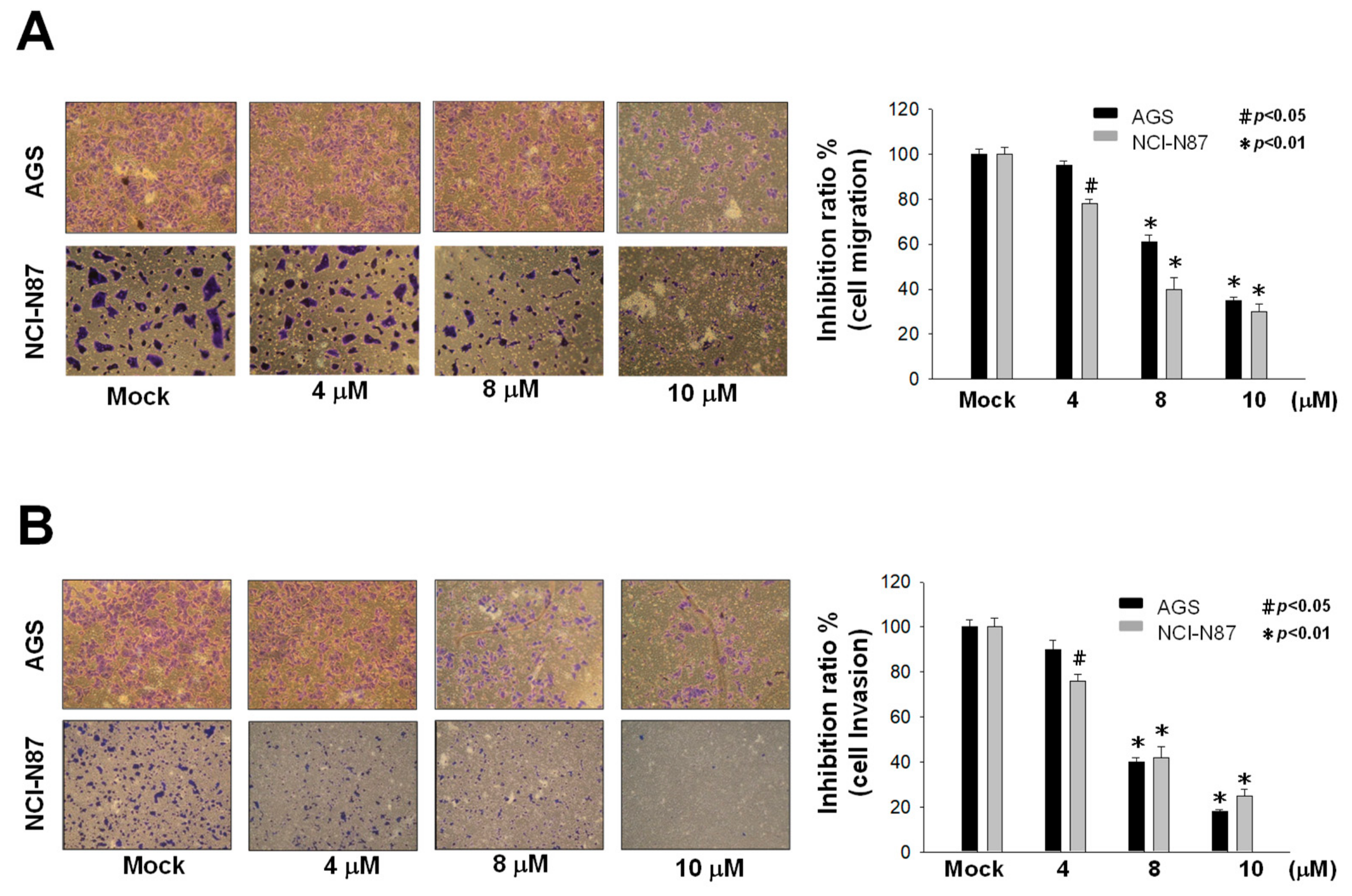 Marinedrugs 17 00668 g002 Marinedrugs 17 00668 g002