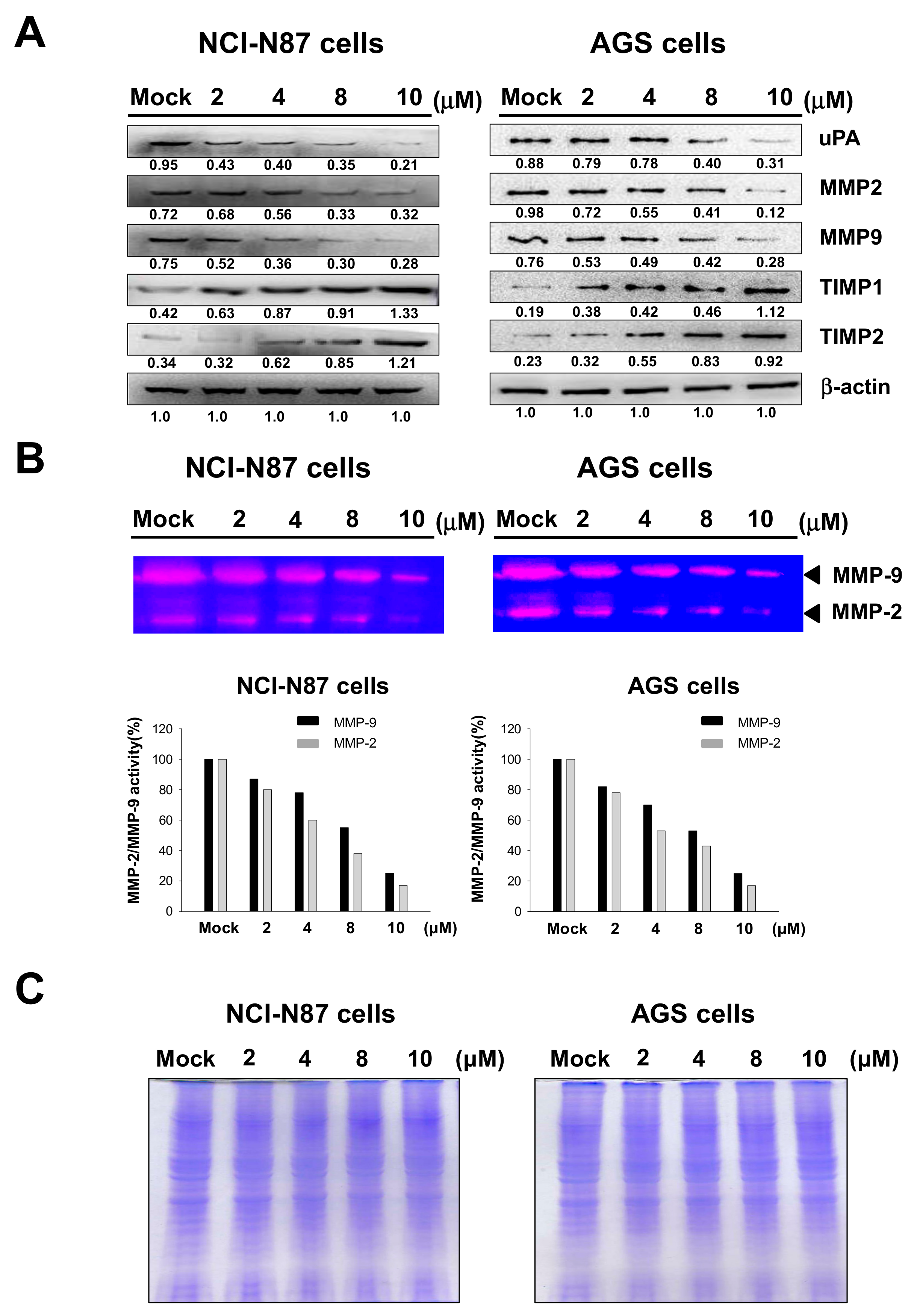 Marinedrugs 17 00668 g003 Marinedrugs 17 00668 g003