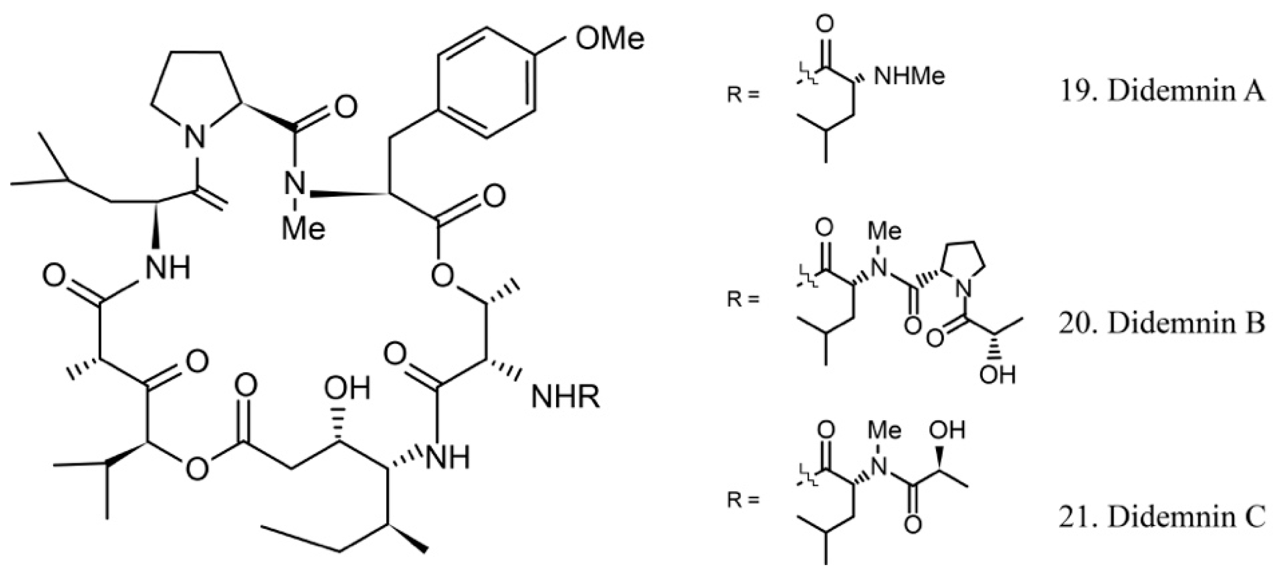 Marinedrugs 17 00670 g011 Marinedrugs 17 00670 g011