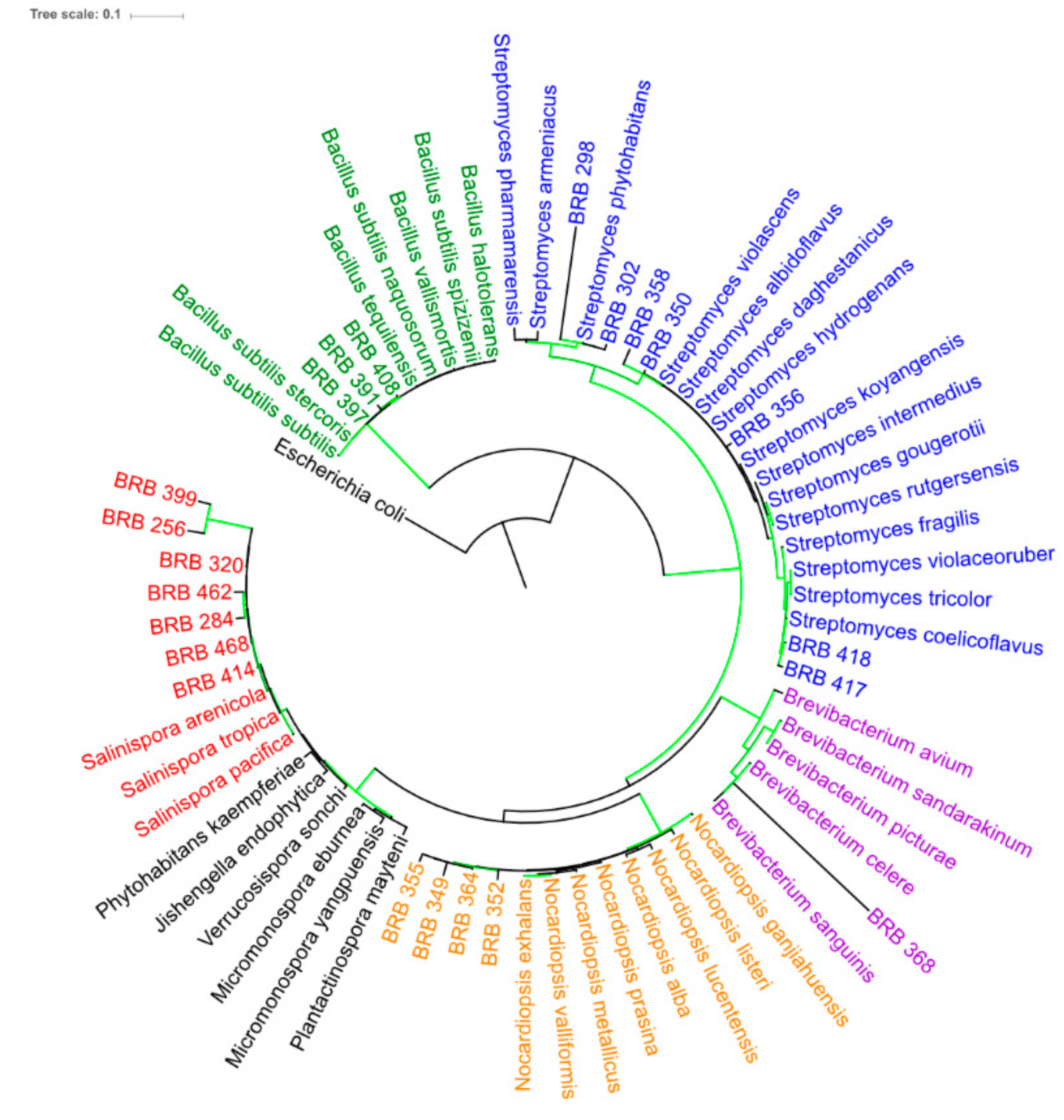 Marinedrugs 17 00671 g002 Marinedrugs 17 00671 g002