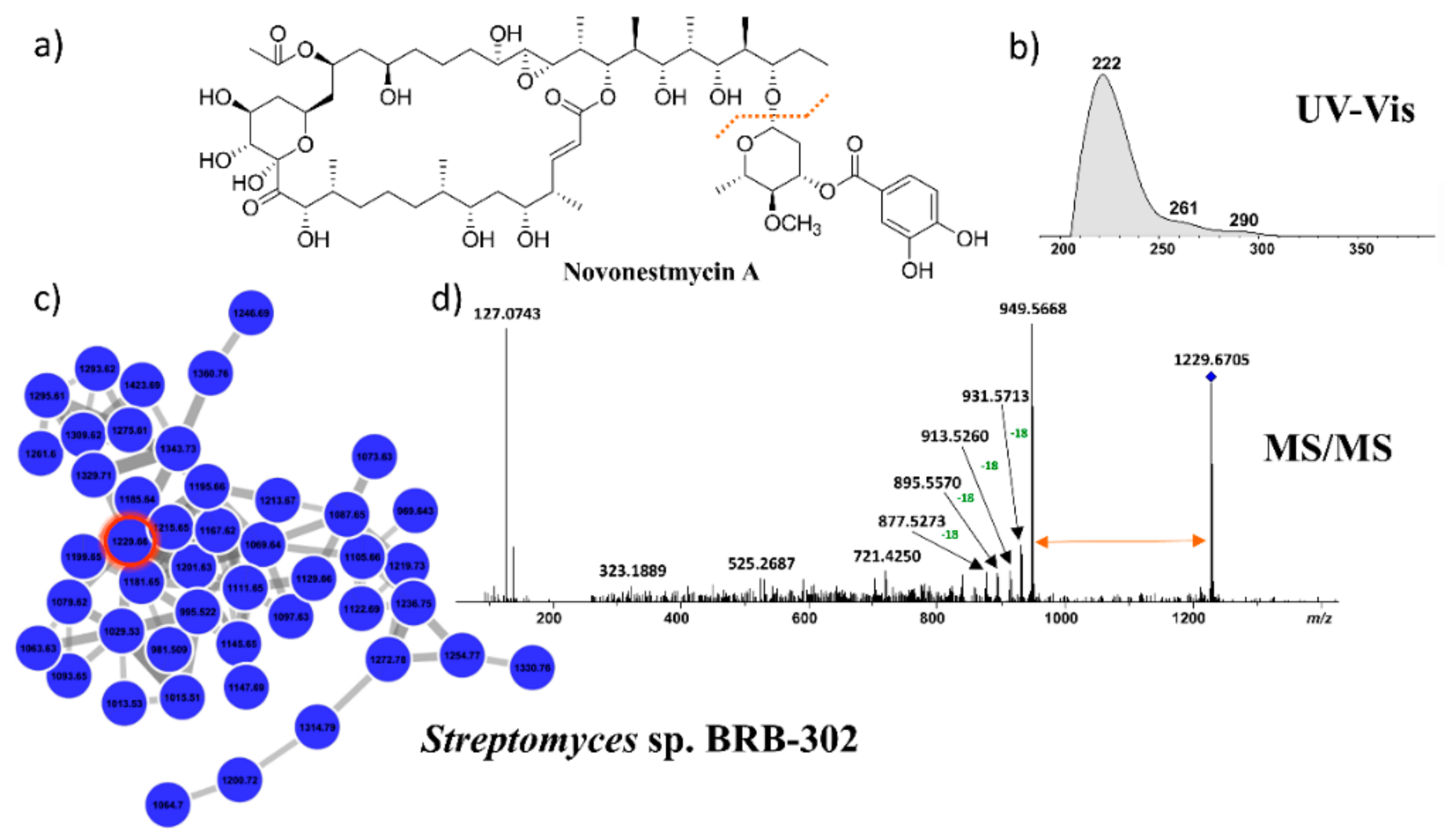 Marinedrugs 17 00671 g005 Marinedrugs 17 00671 g005