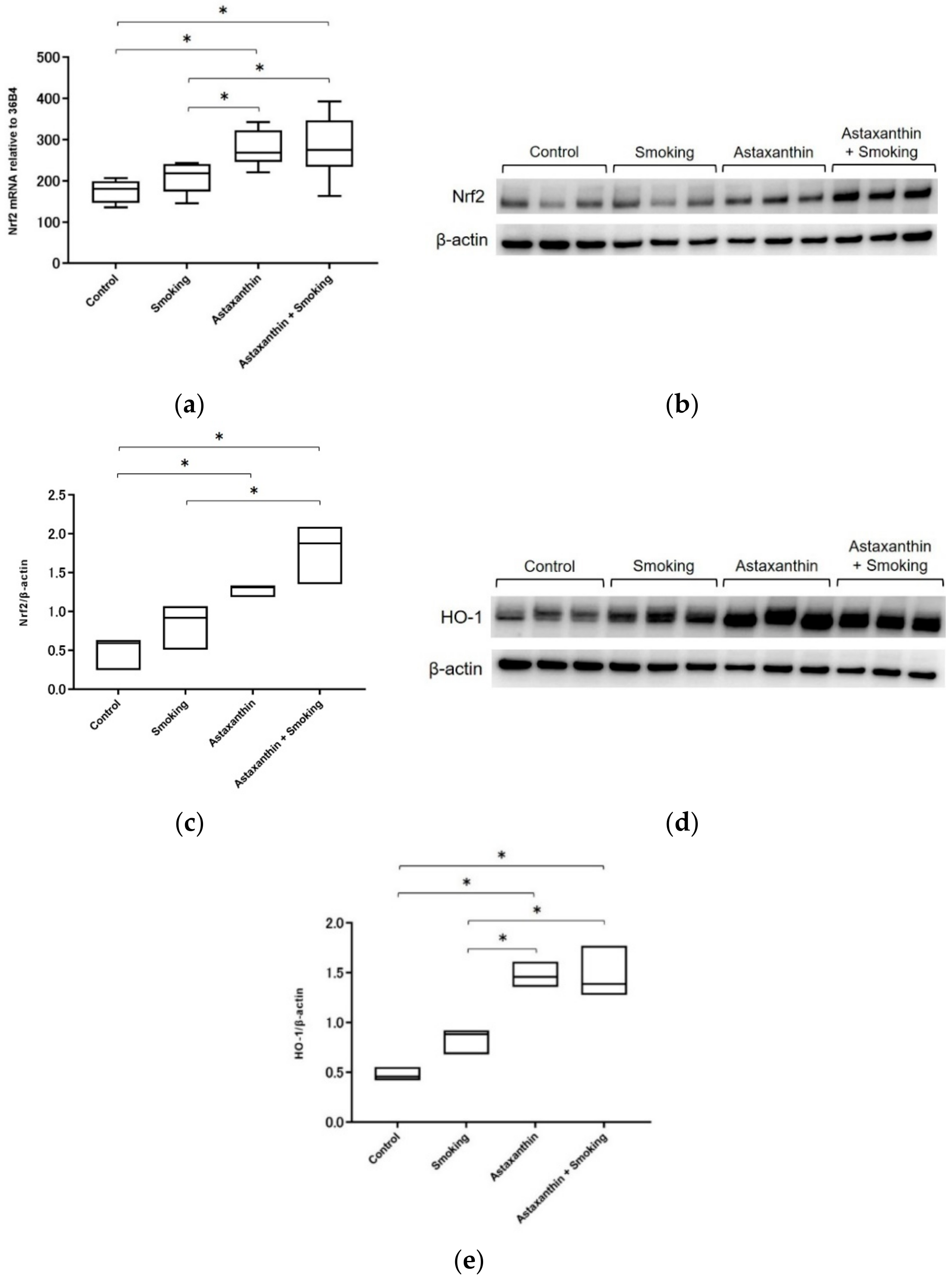 Marinedrugs 17 00673 g002 Marinedrugs 17 00673 g002