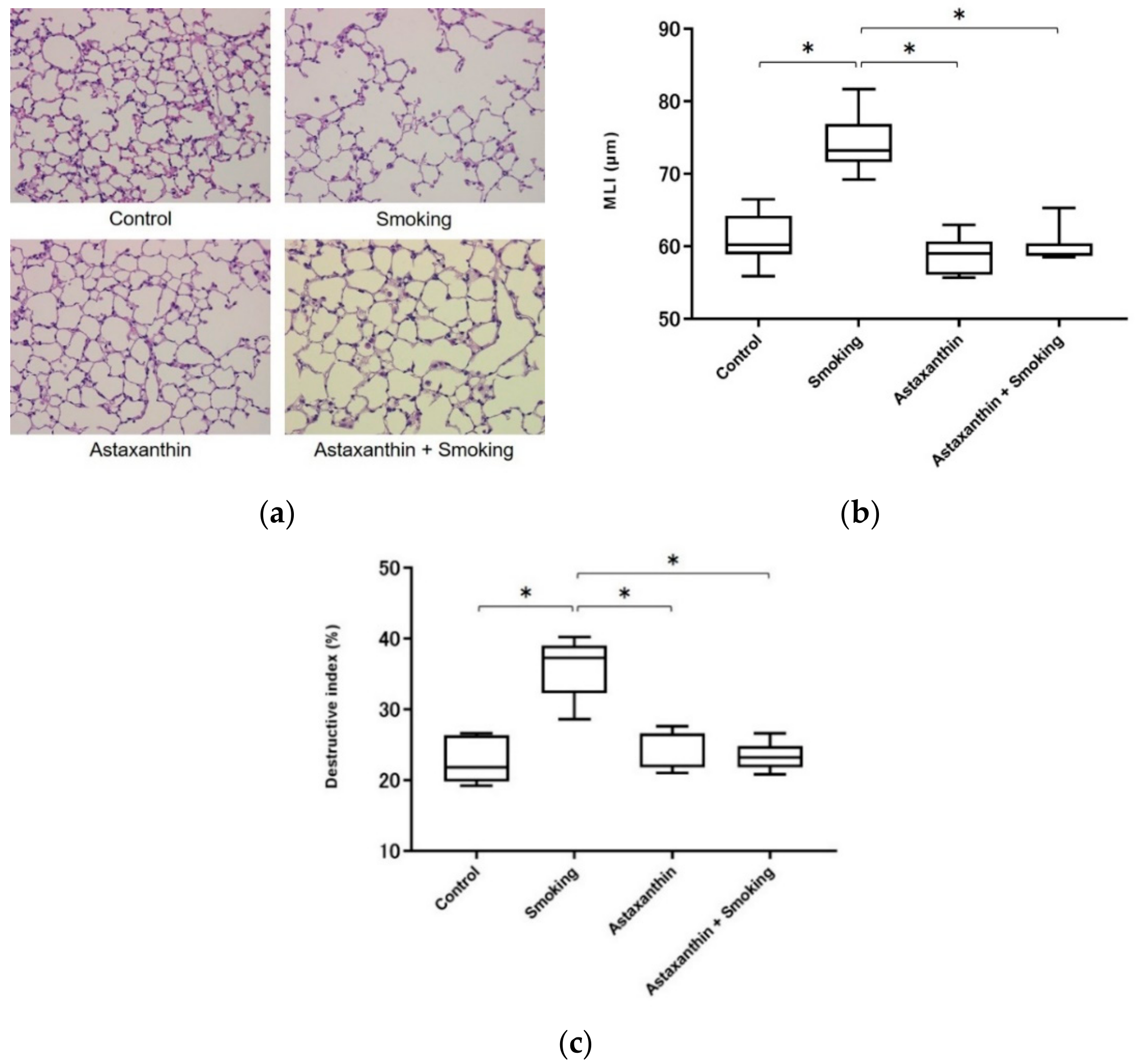 Marinedrugs 17 00673 g004 Marinedrugs 17 00673 g004