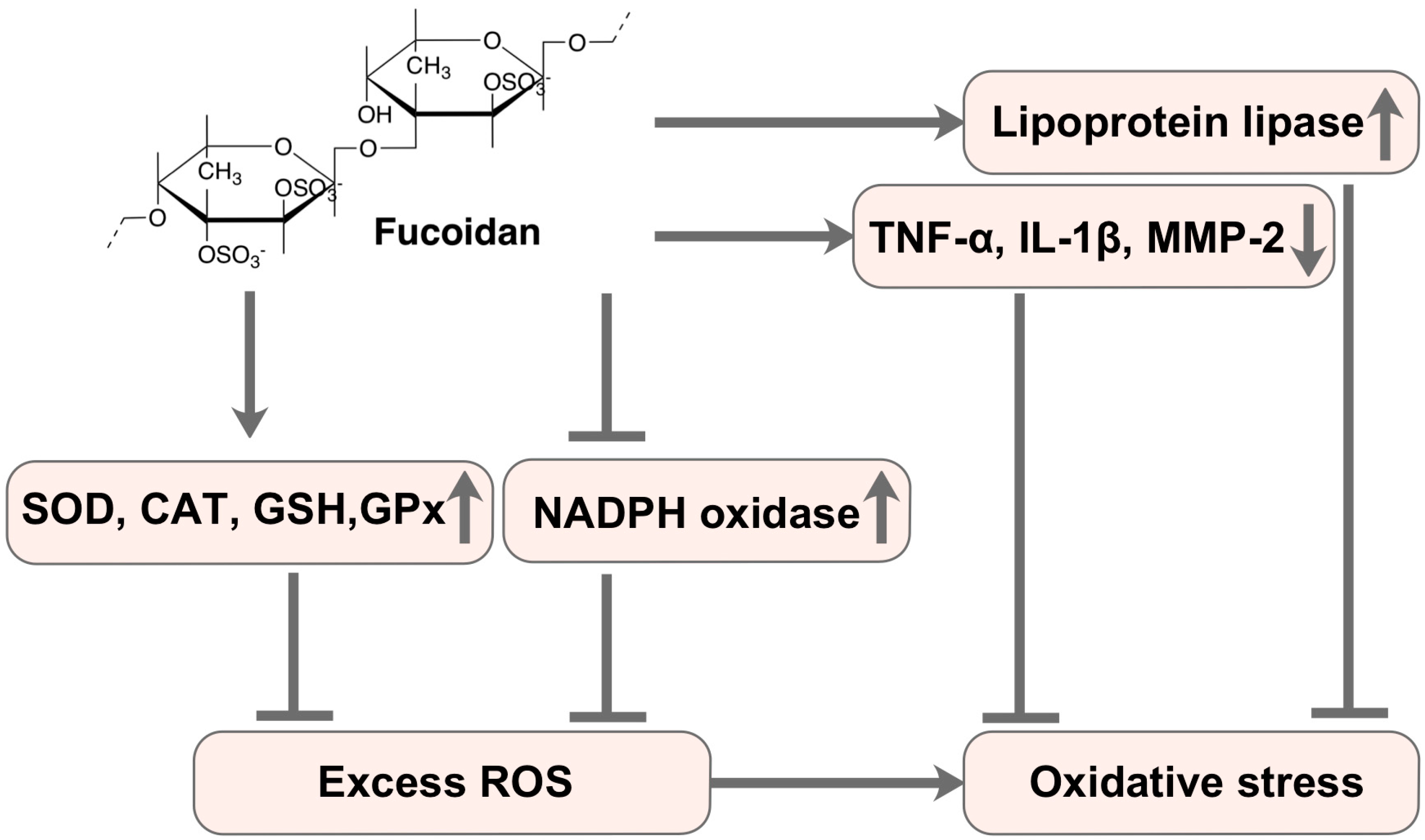 Marinedrugs 17 00674 g002 Marinedrugs 17 00674 g002