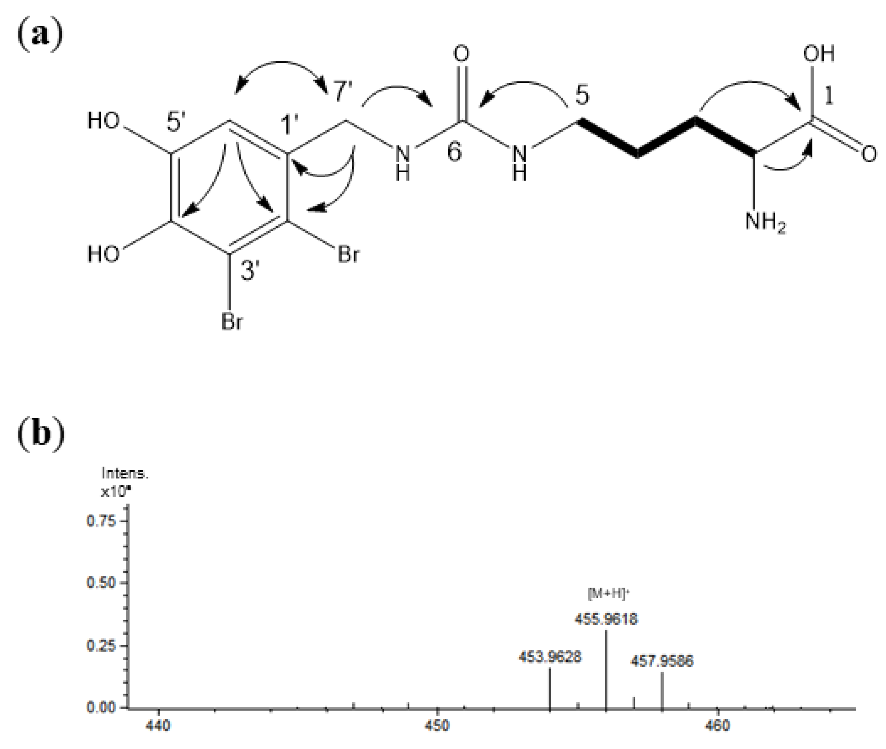 Marinedrugs 17 00675 g002