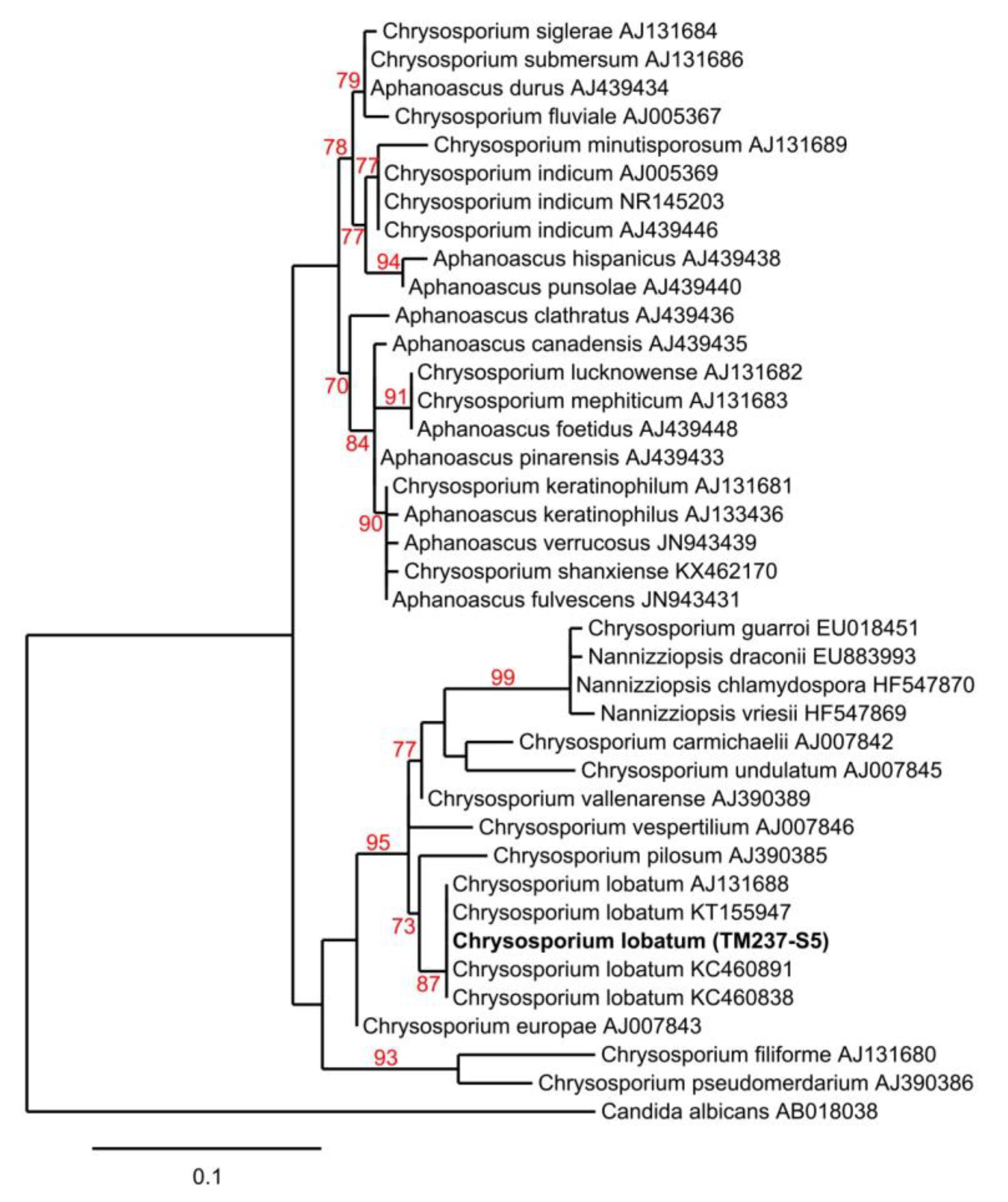 Marinedrugs 17 00678 g002