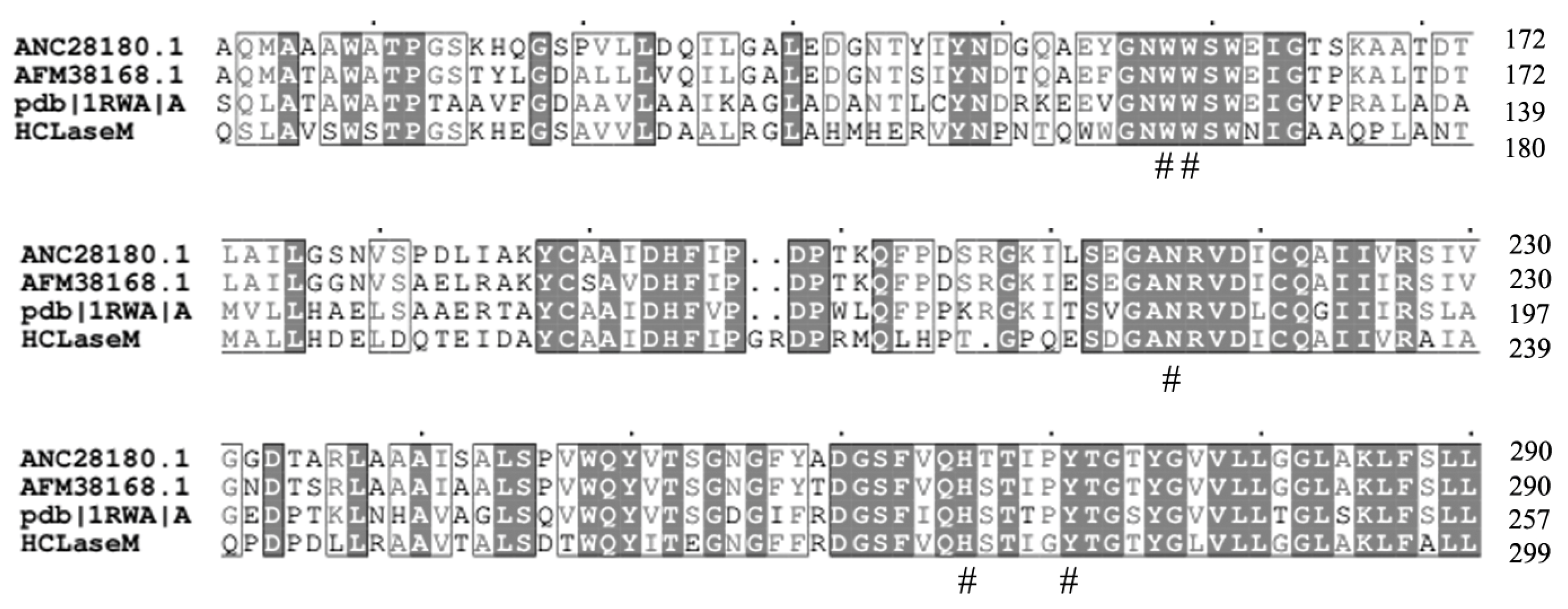 Marinedrugs 17 00681 g009 Marinedrugs 17 00681 g009