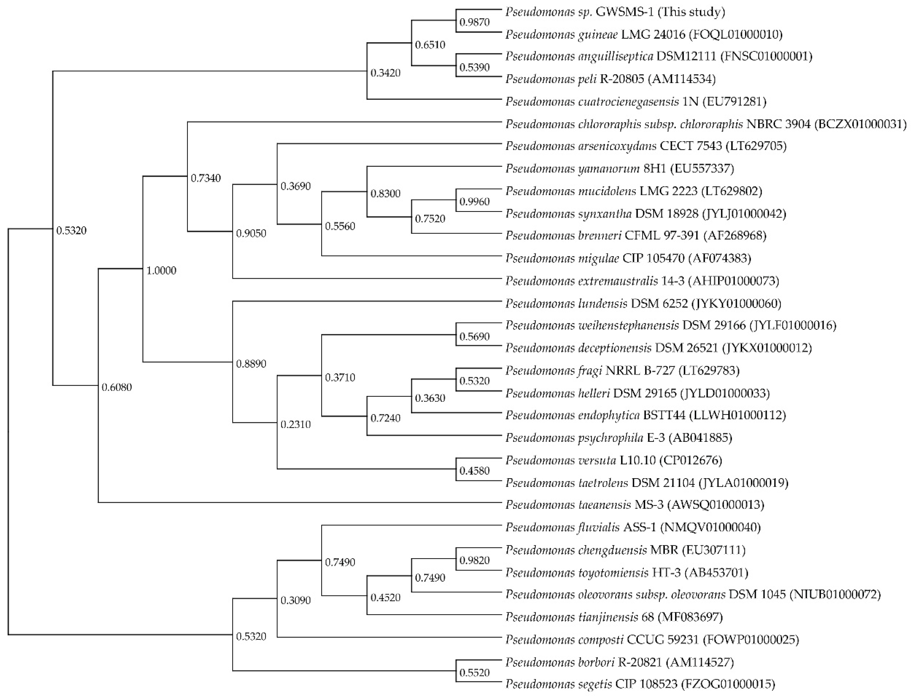 Marinedrugs 17 00695 g002 Marinedrugs 17 00695 g002