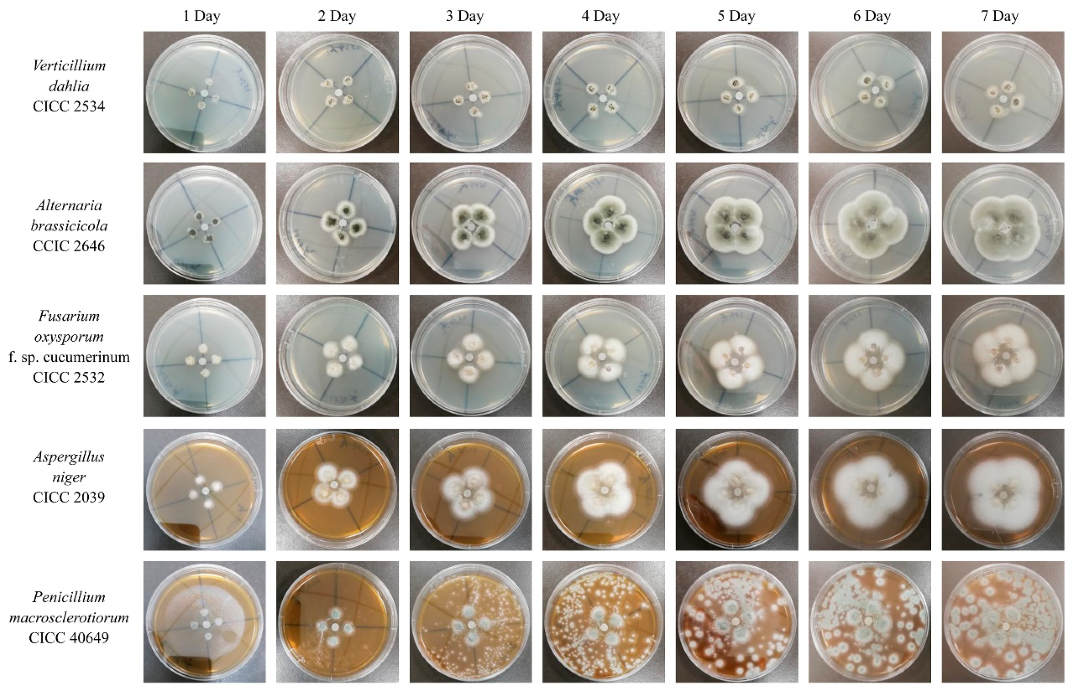 Marinedrugs 17 00695 g006 Marinedrugs 17 00695 g006