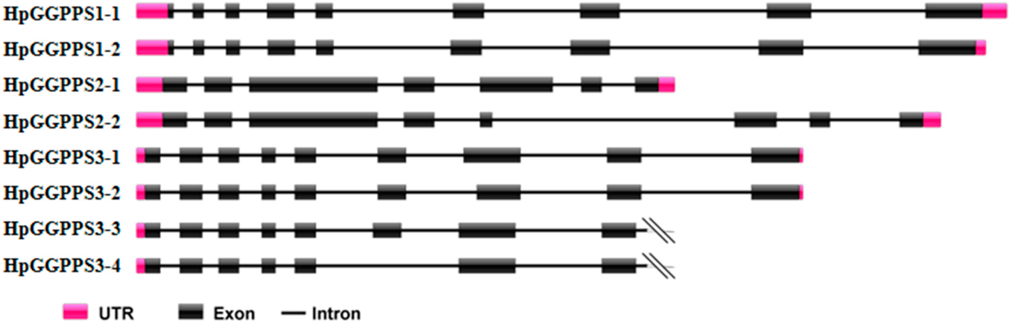 Marinedrugs 17 00696 g001