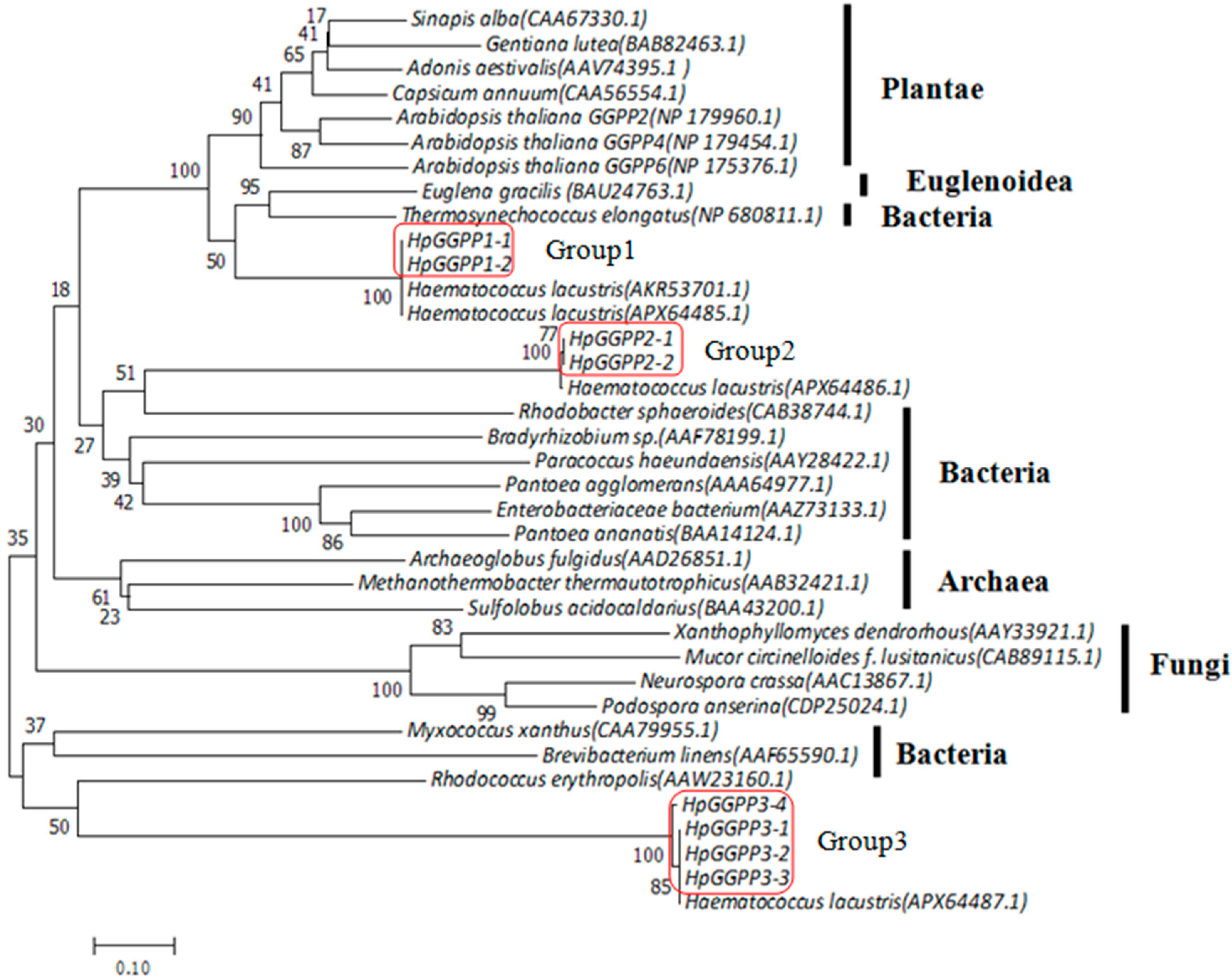 Marinedrugs 17 00696 g003