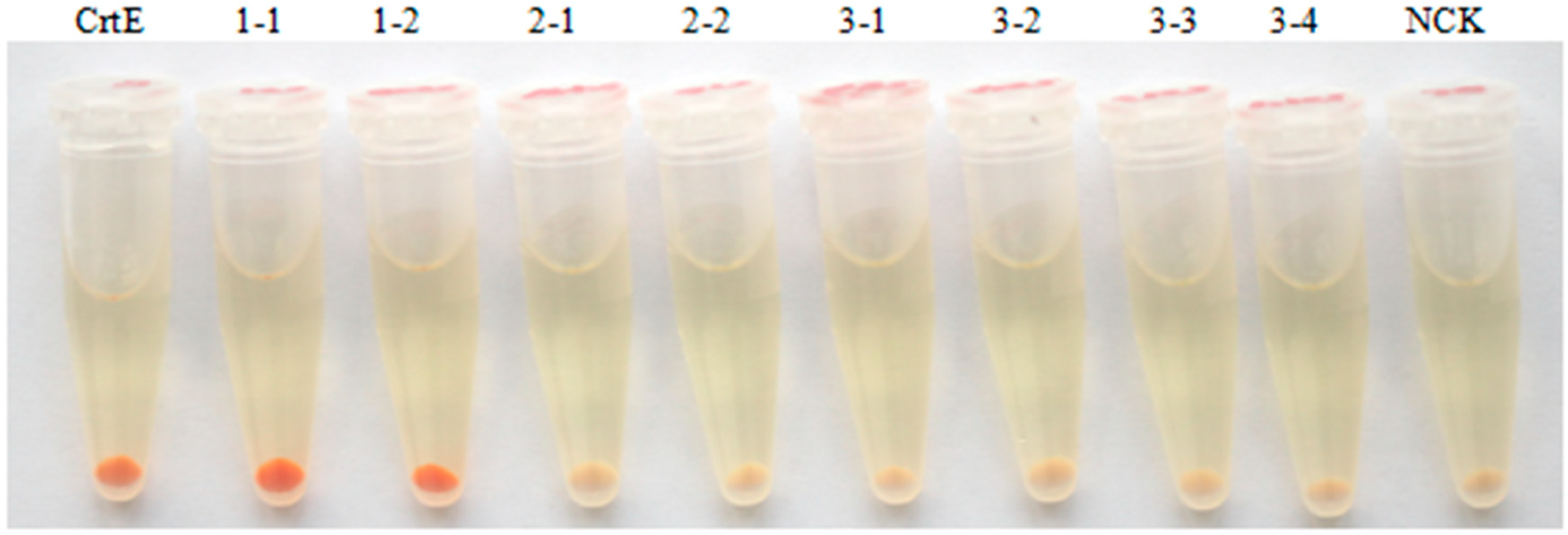 Marinedrugs 17 00696 g004