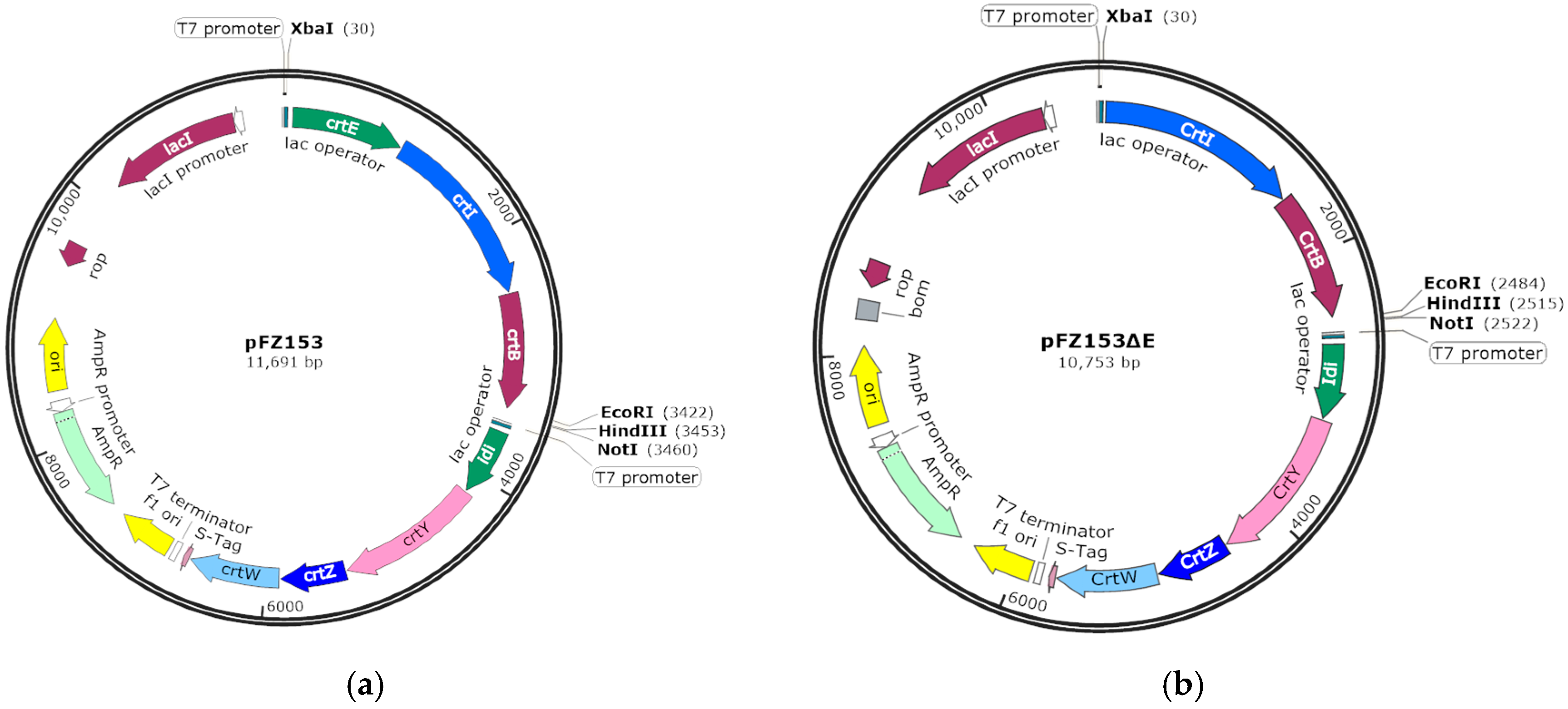 Marinedrugs 17 00696 g006