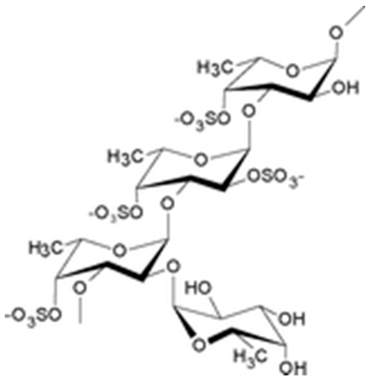 Marinedrugs 17 00699 g004