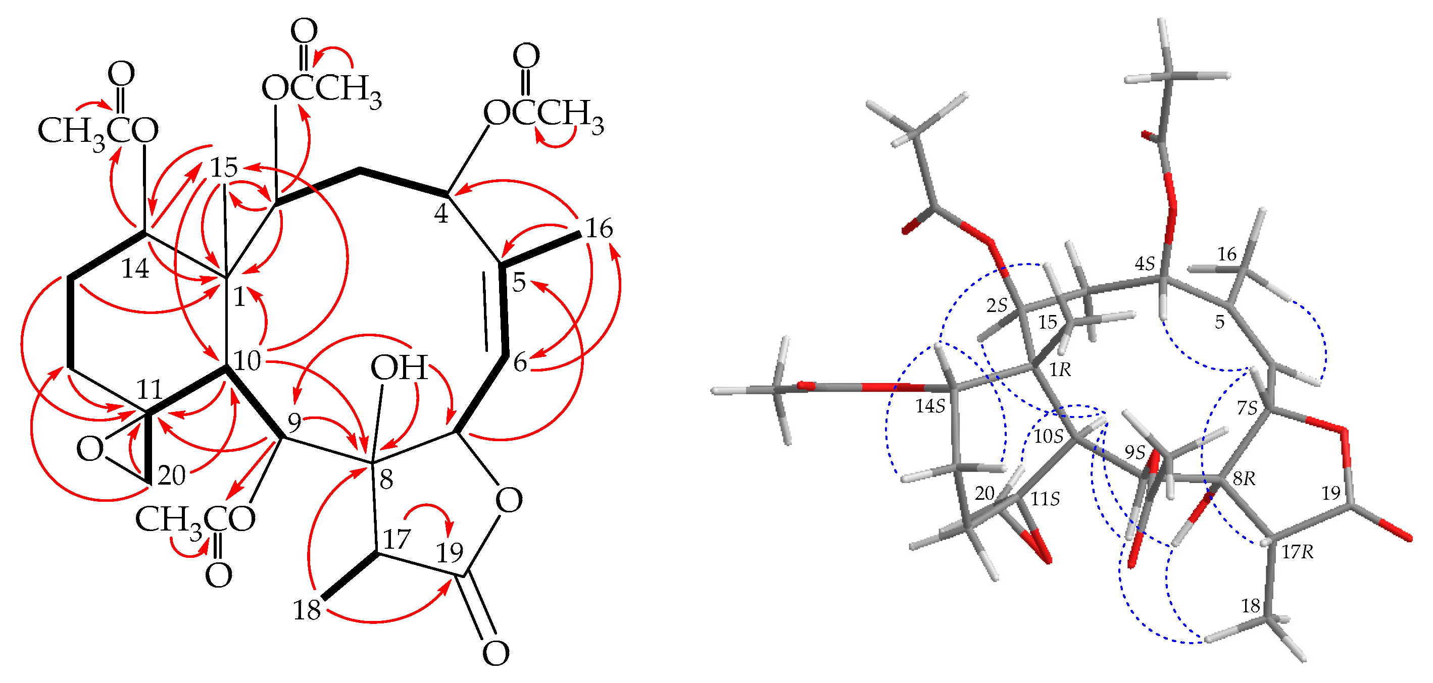 Marinedrugs 17 00706 g002 Marinedrugs 17 00706 g002