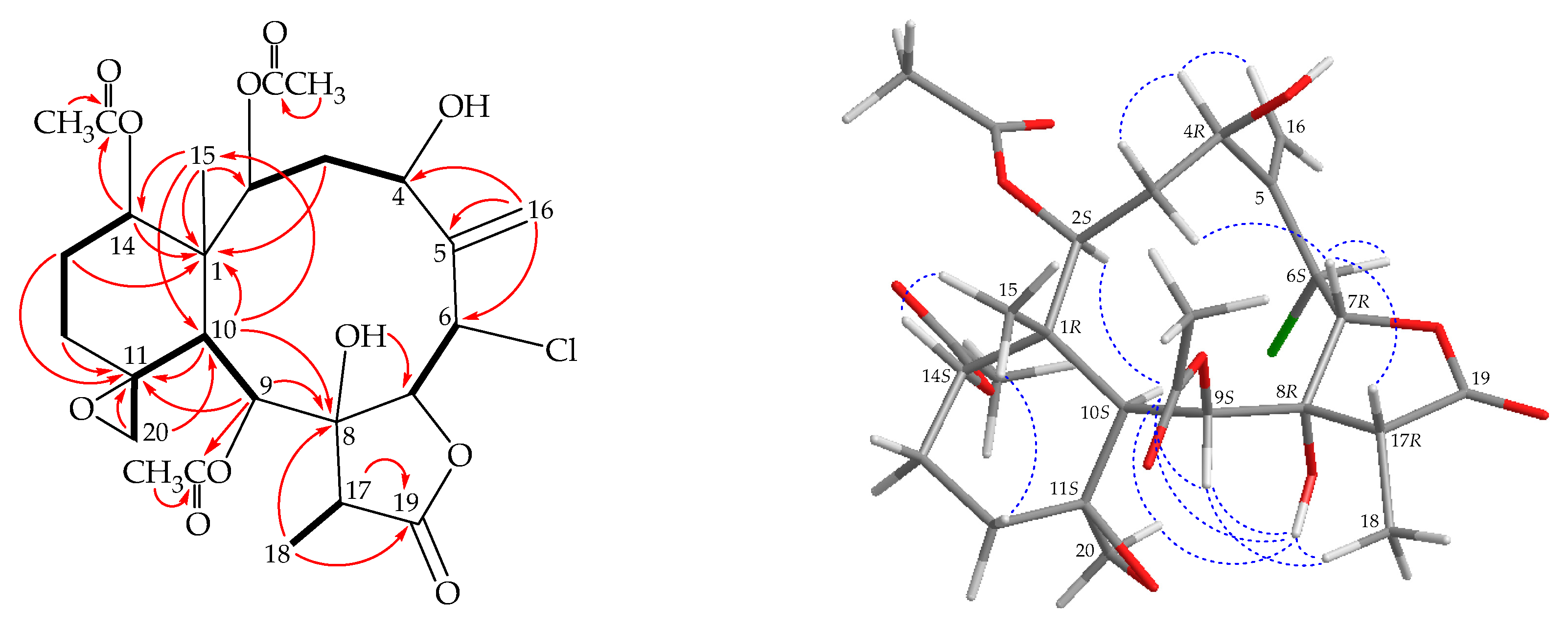 Marinedrugs 17 00706 g003 Marinedrugs 17 00706 g003