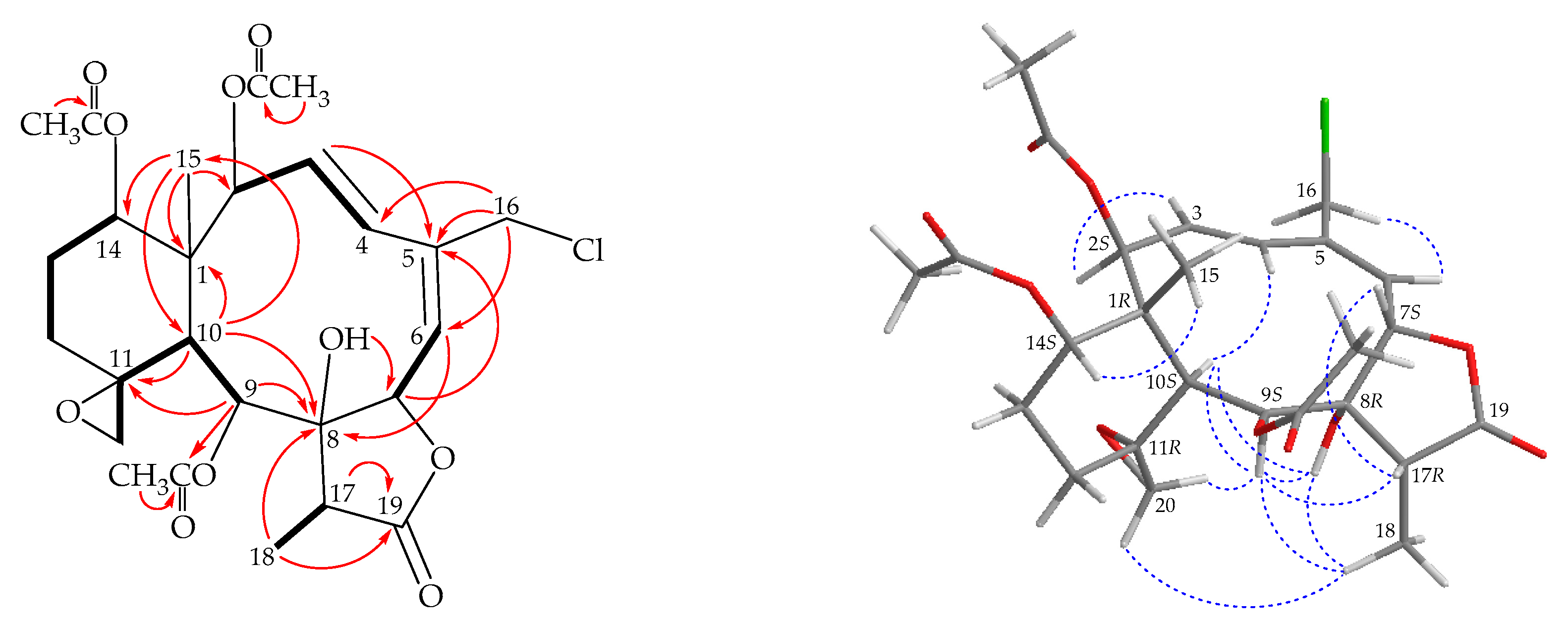 Marinedrugs 17 00706 g004 Marinedrugs 17 00706 g004