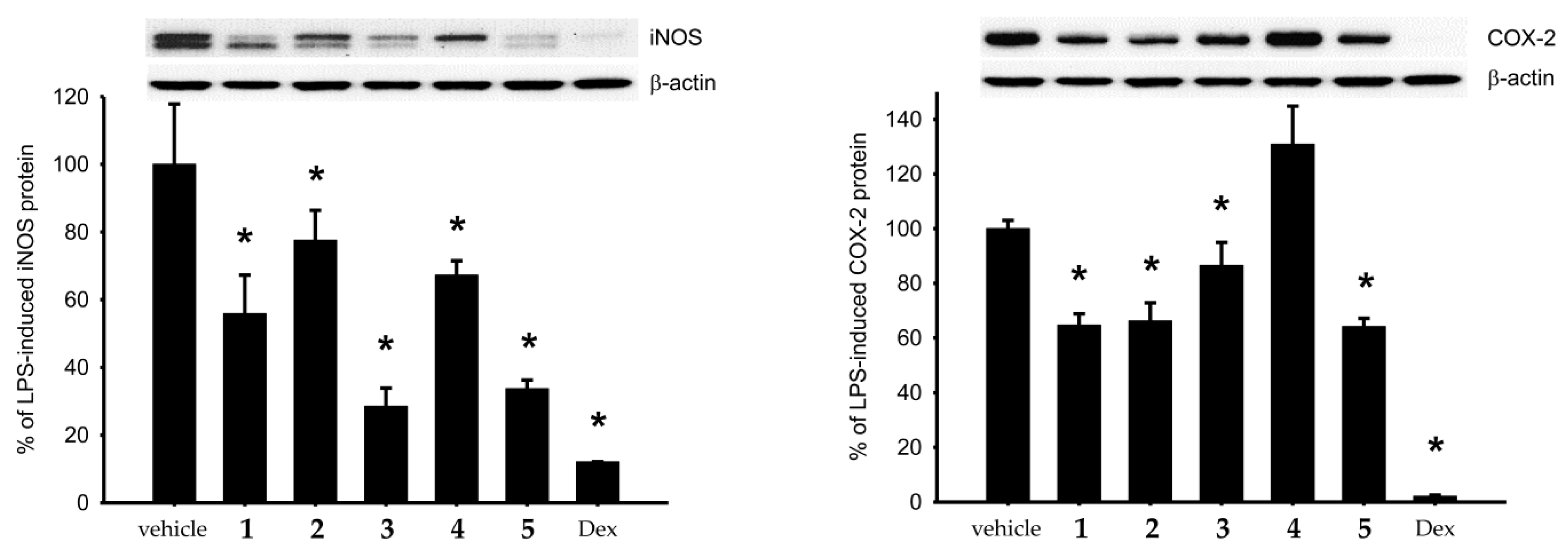 Marinedrugs 17 00706 g005 Marinedrugs 17 00706 g005