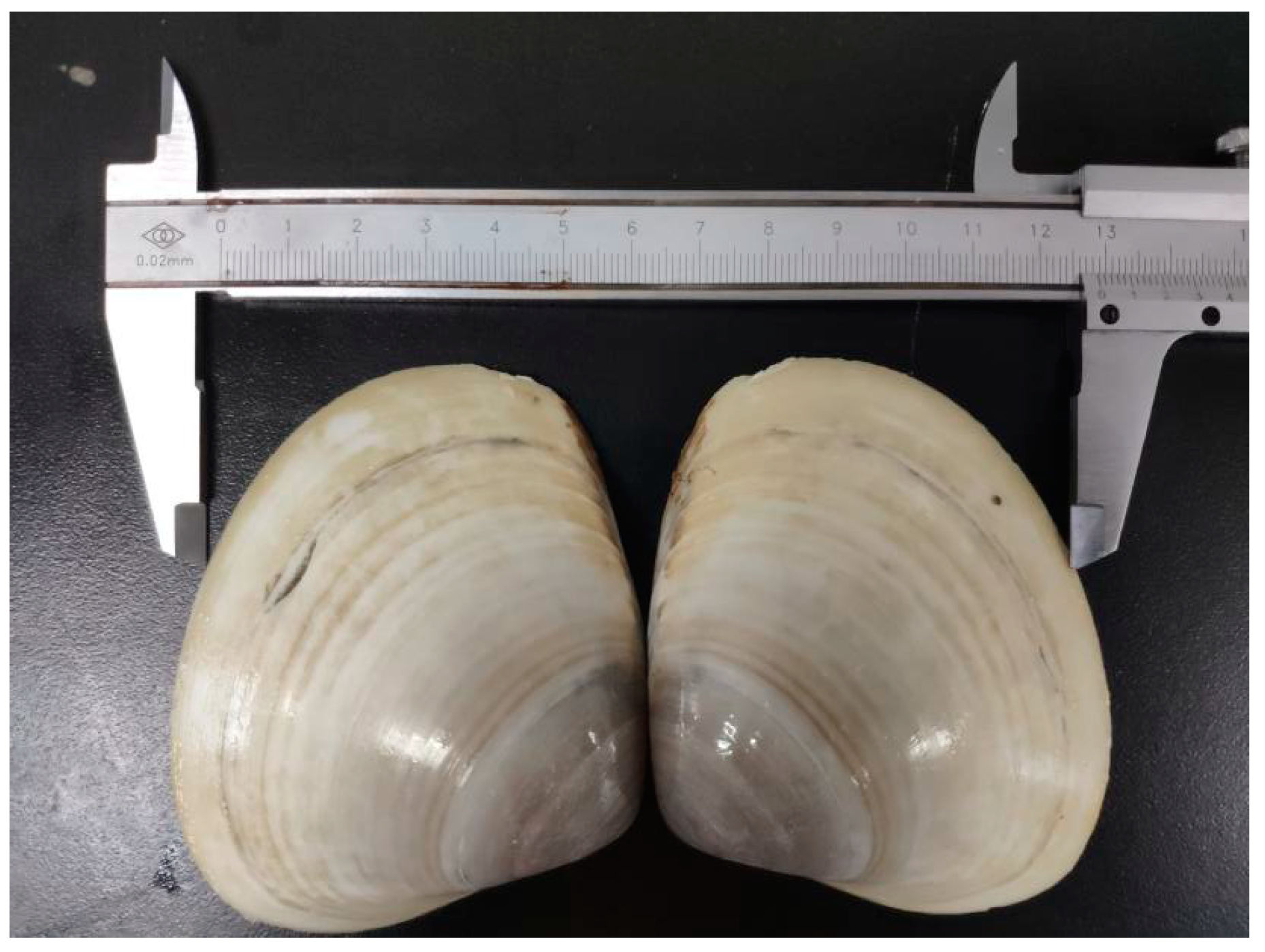 Marinedrugs 18 00006 g001