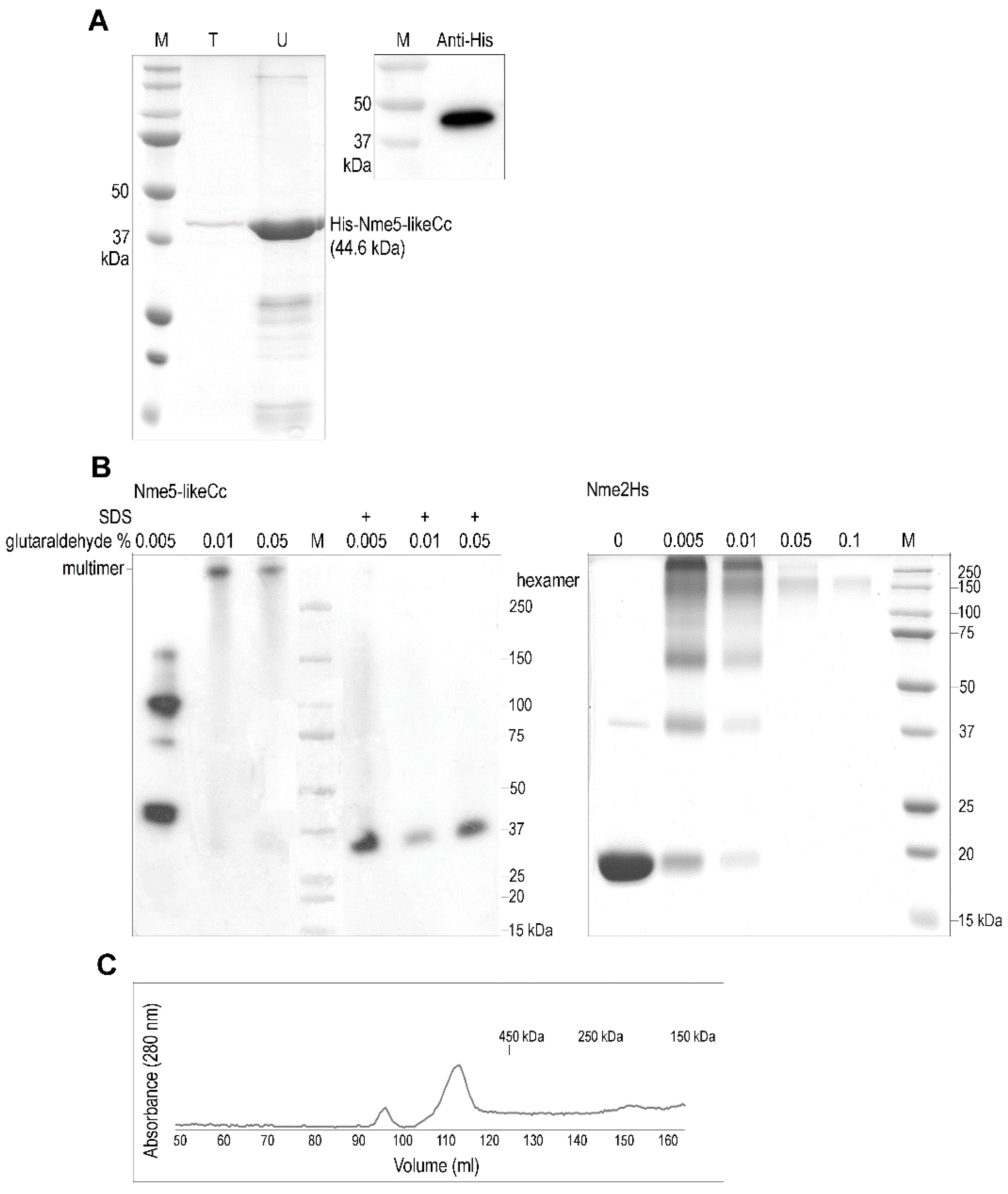 Marinedrugs 18 00013 g002