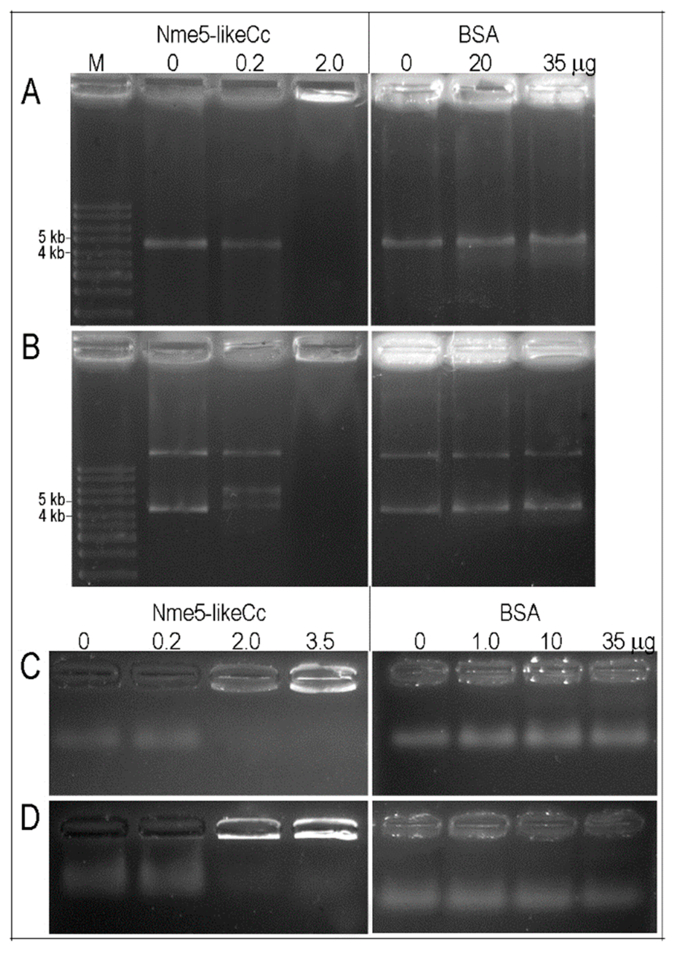 Marinedrugs 18 00013 g003