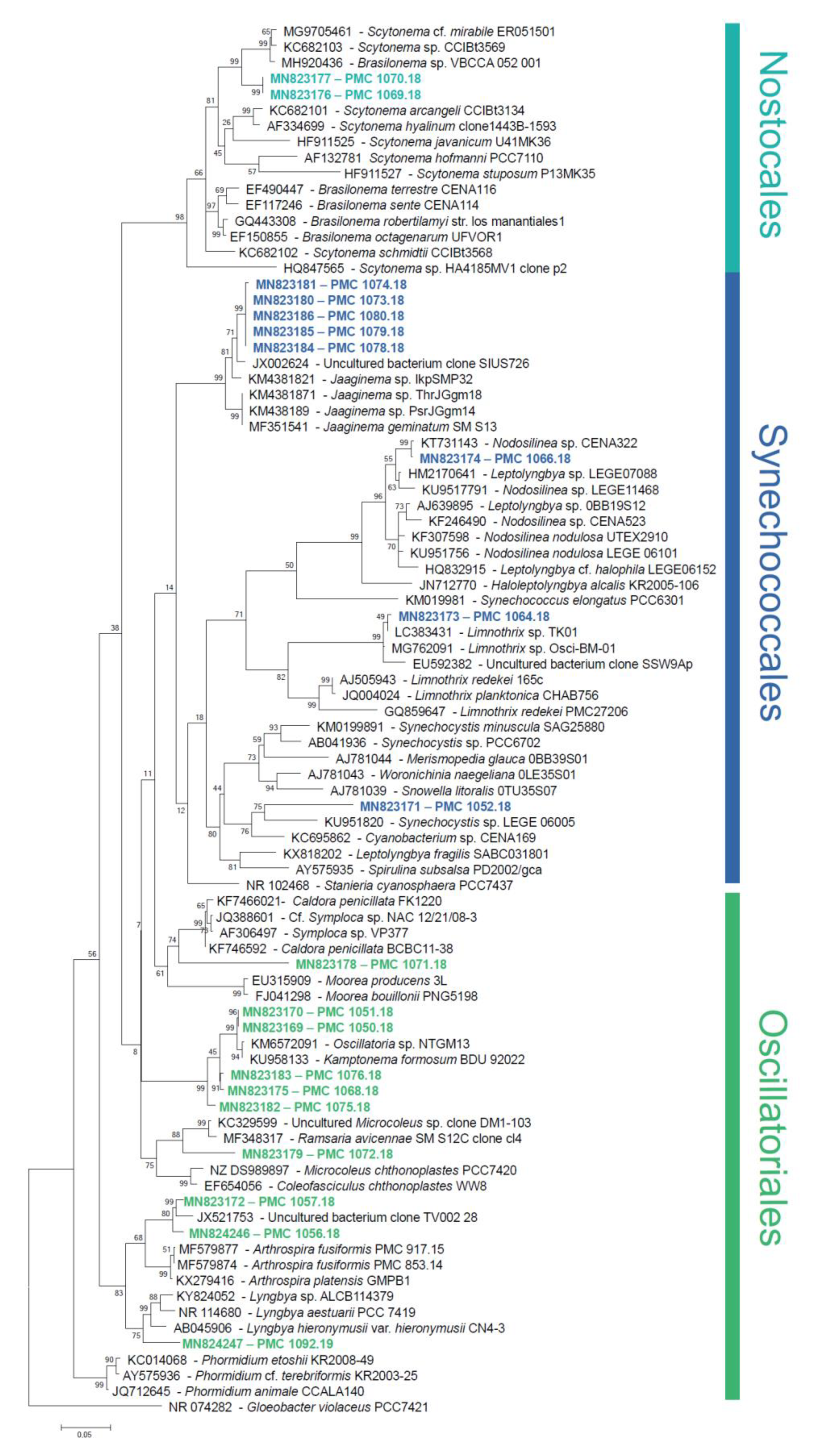 Marinedrugs 18 00016 g002 Marinedrugs 18 00016 g002