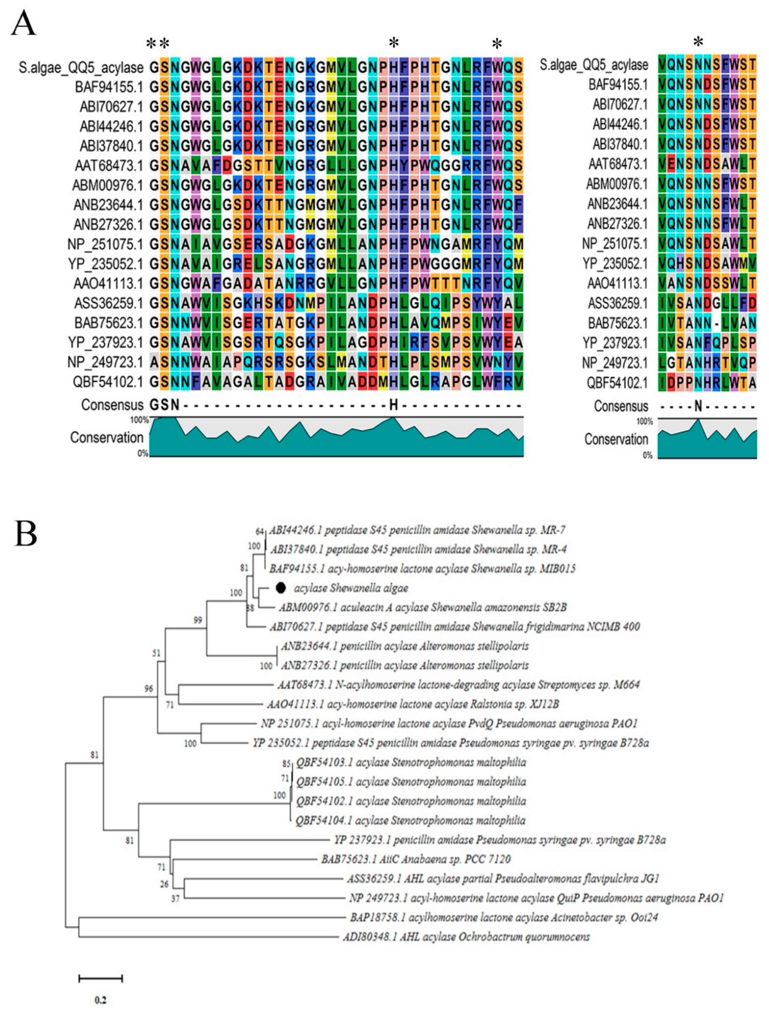 Marinedrugs 18 00023 g005 Marinedrugs 18 00023 g005