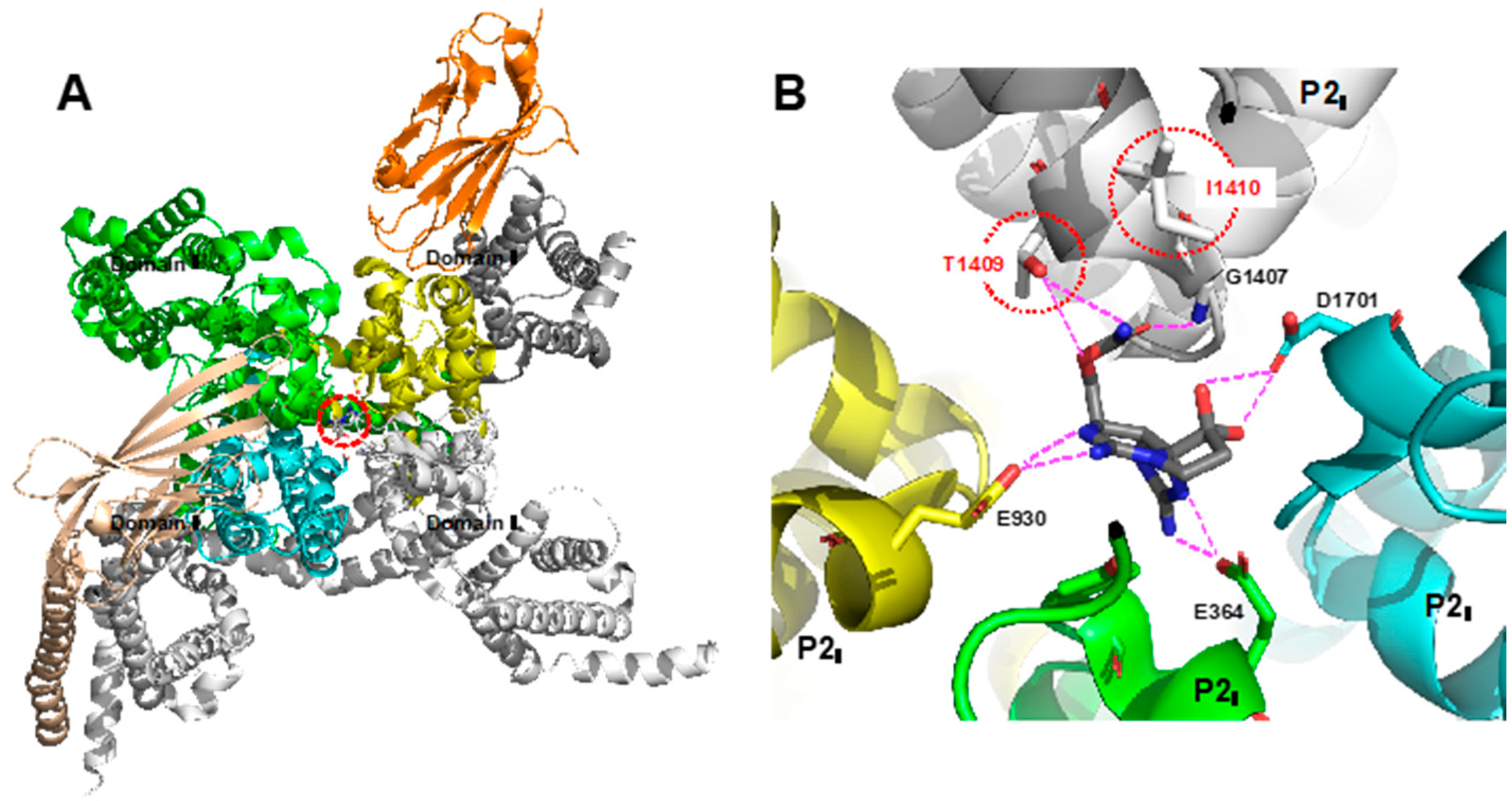 Marinedrugs 18 00024 g002