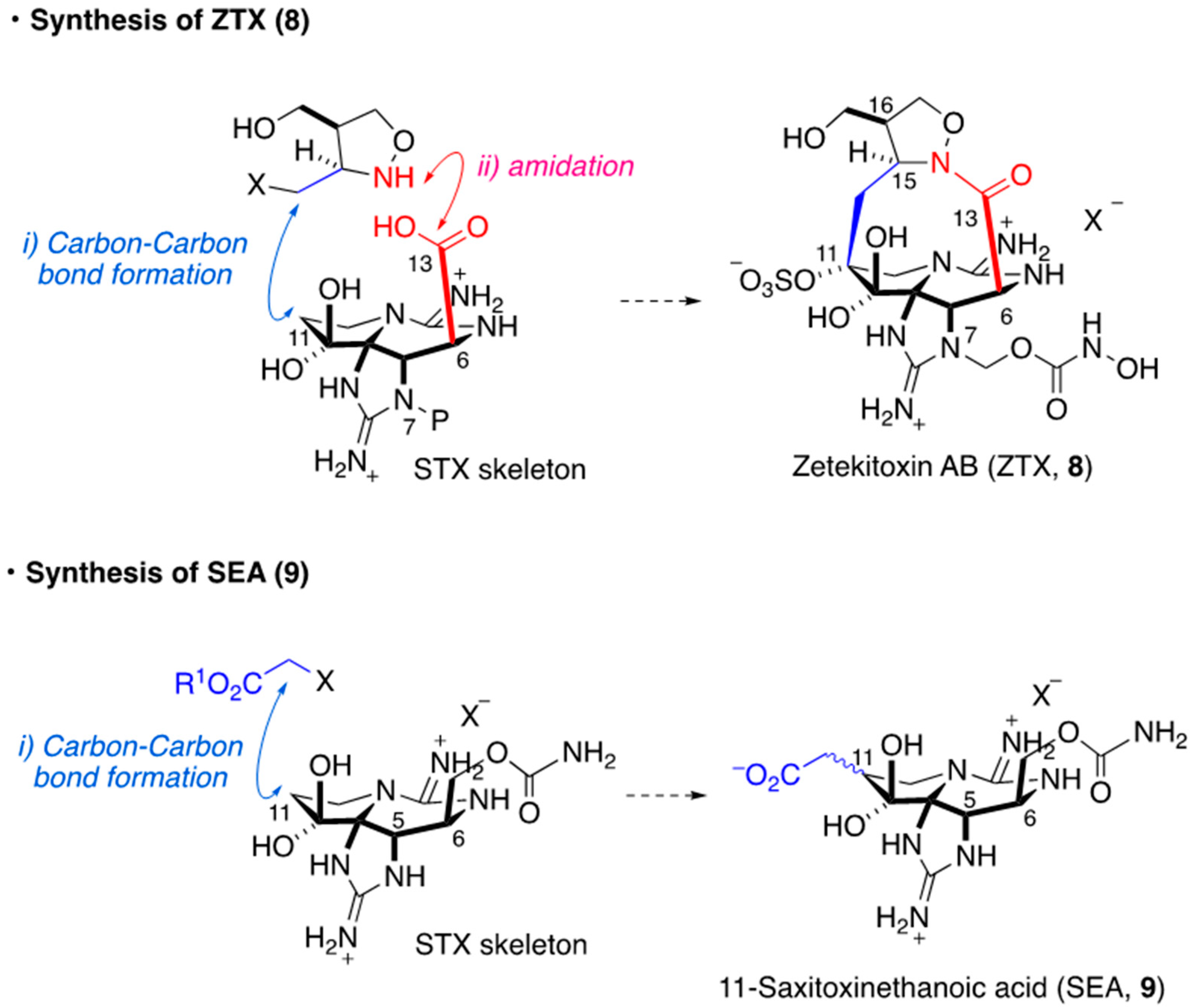 Marinedrugs 18 00024 g004