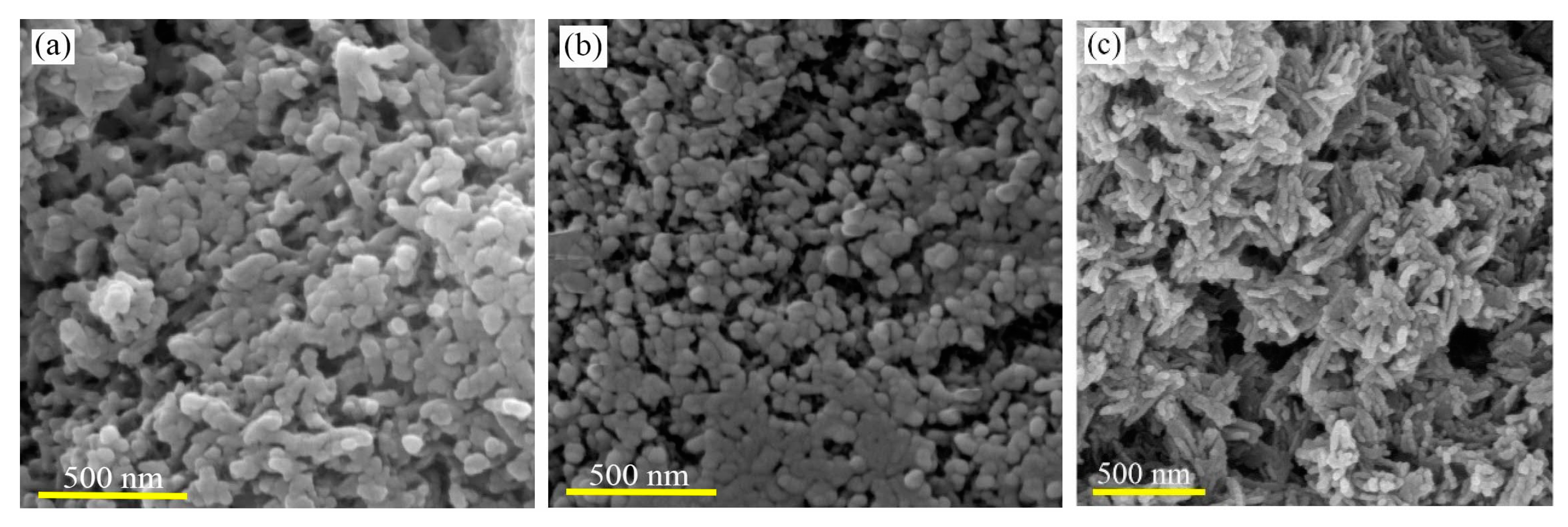 Marinedrugs 18 00026 g002 Marinedrugs 18 00026 g002