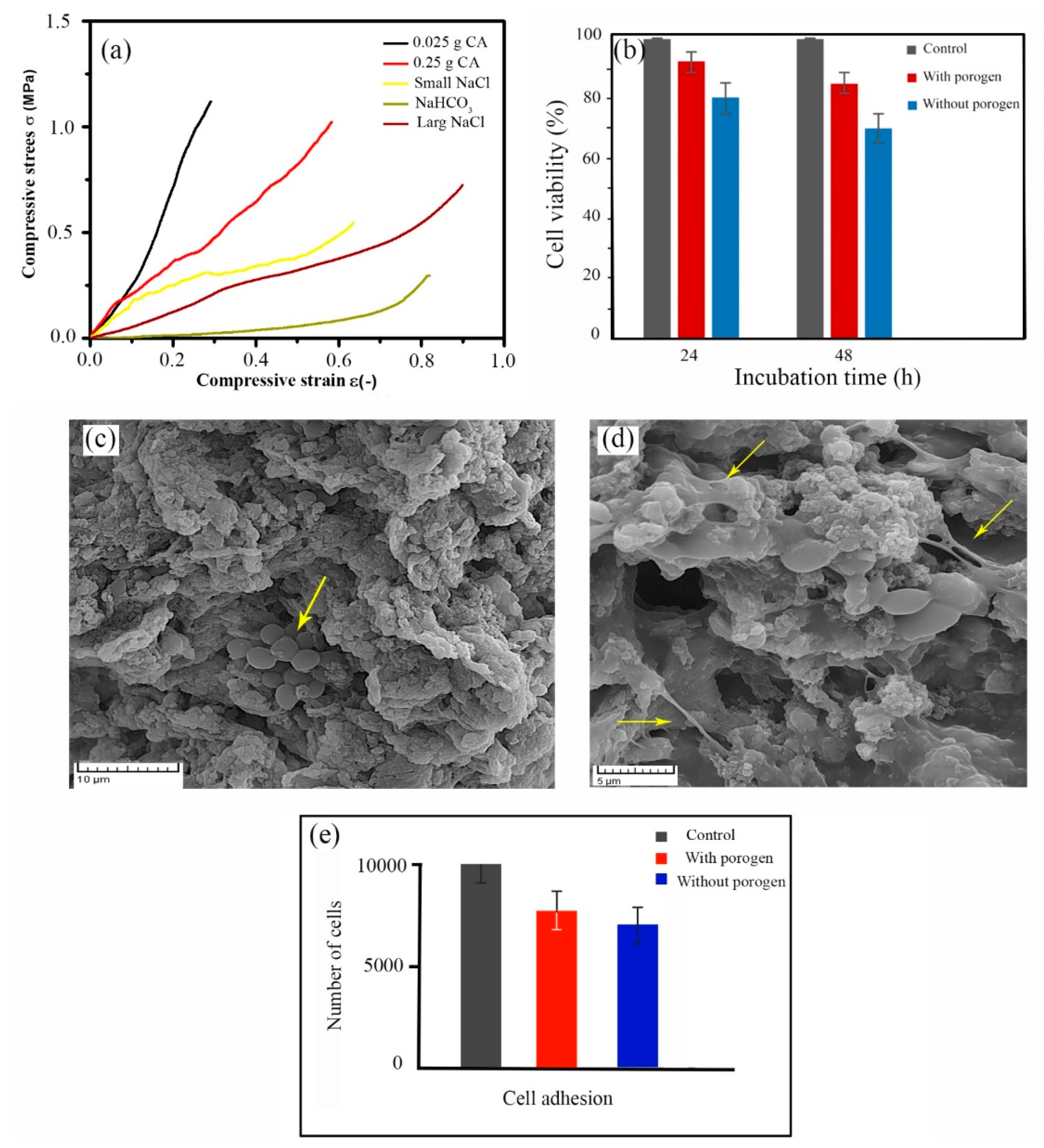 Marinedrugs 18 00026 g006 Marinedrugs 18 00026 g006